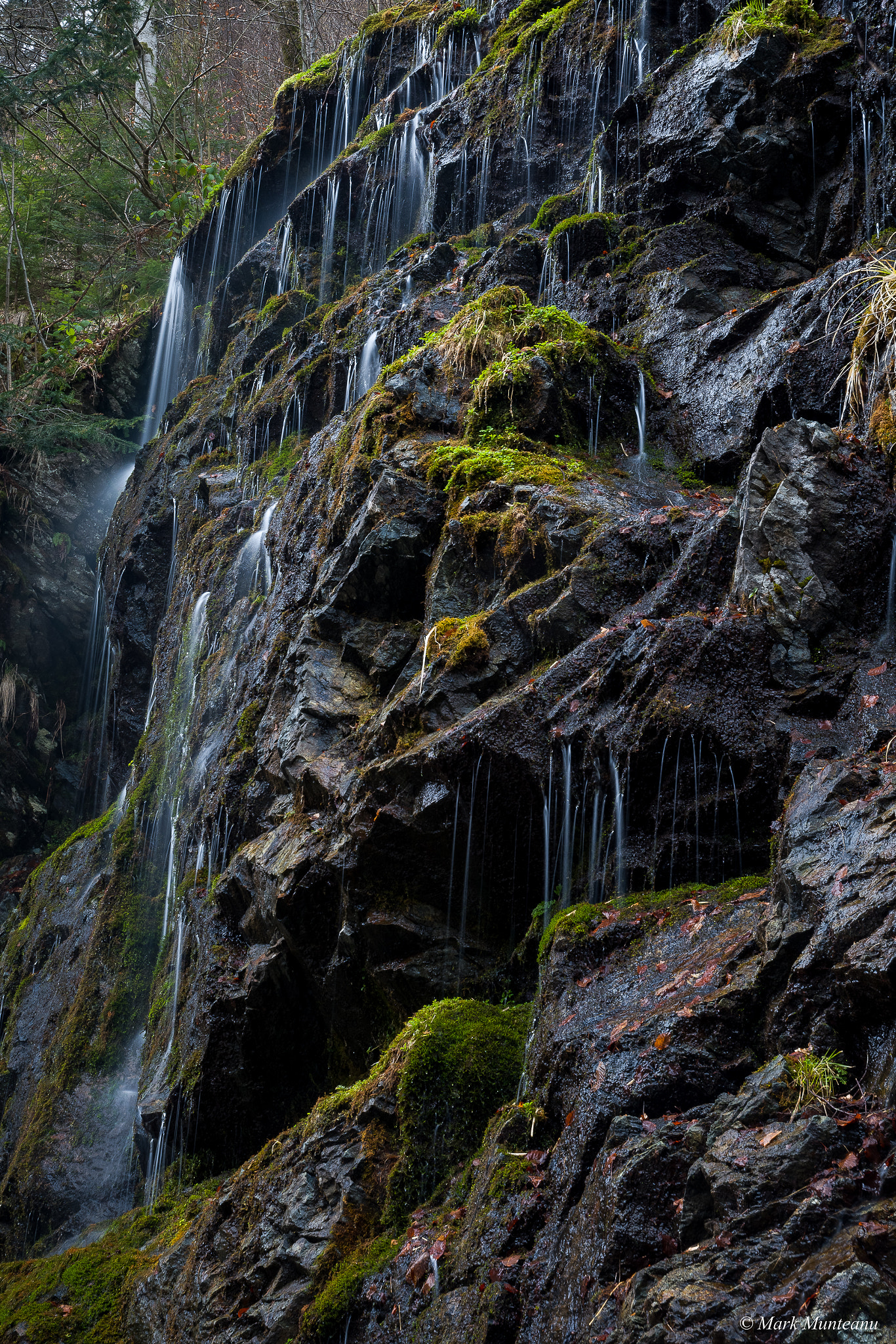 Nikon D500 sample photo. Every drop is a waterfall photography
