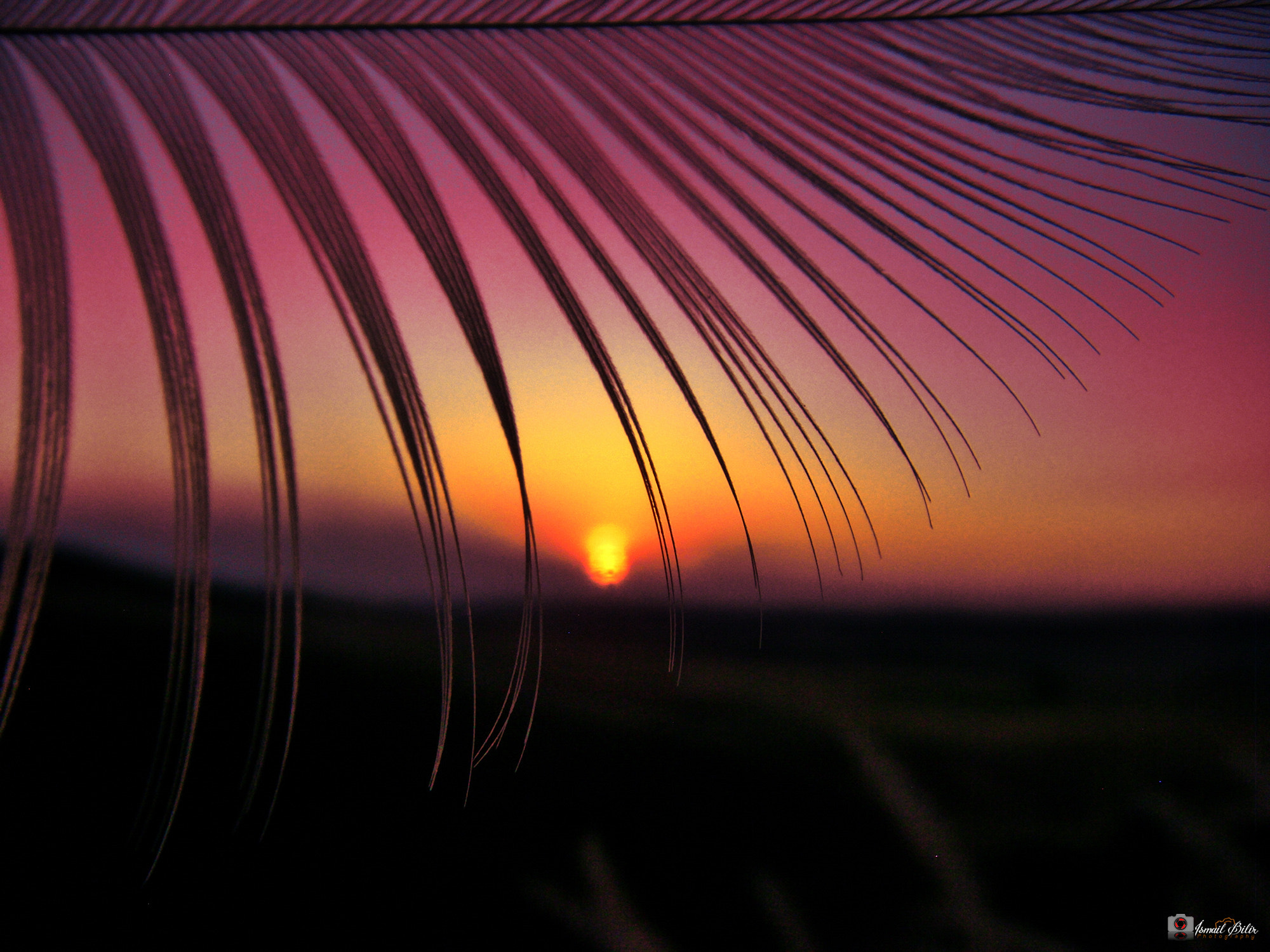 Fujifilm FinePix Z35 sample photo. Sunset!! photography