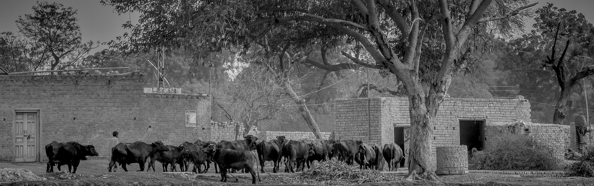 Nikon D7200 sample photo. Just another rural day photography