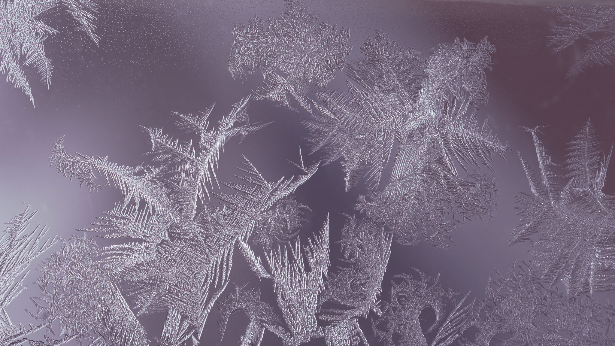 Sony SLT-A65 (SLT-A65V) + MACRO 50mm F2.8 sample photo. Ice crystals on a window pane photography