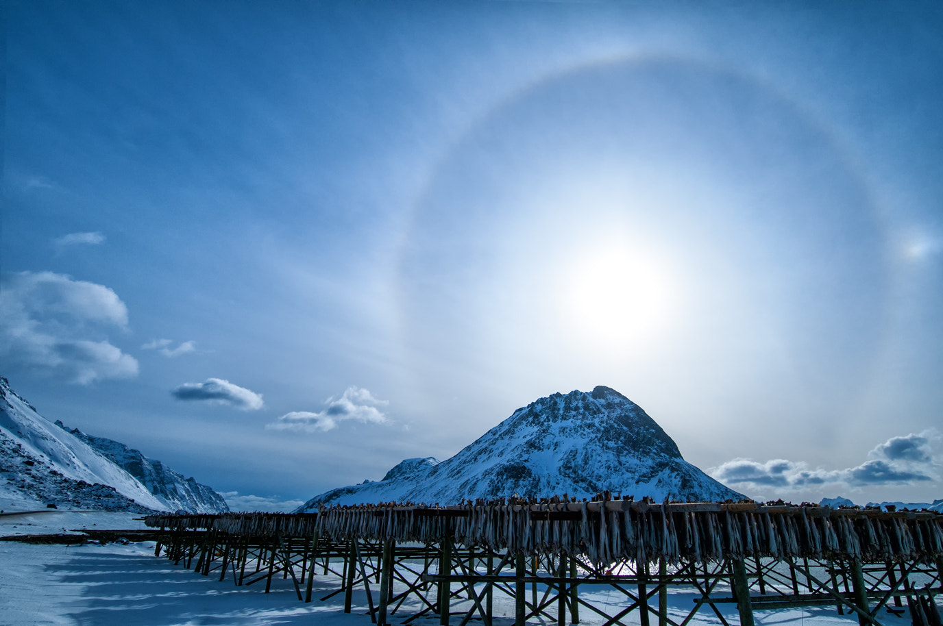 Nikon D300 sample photo. The halo photography