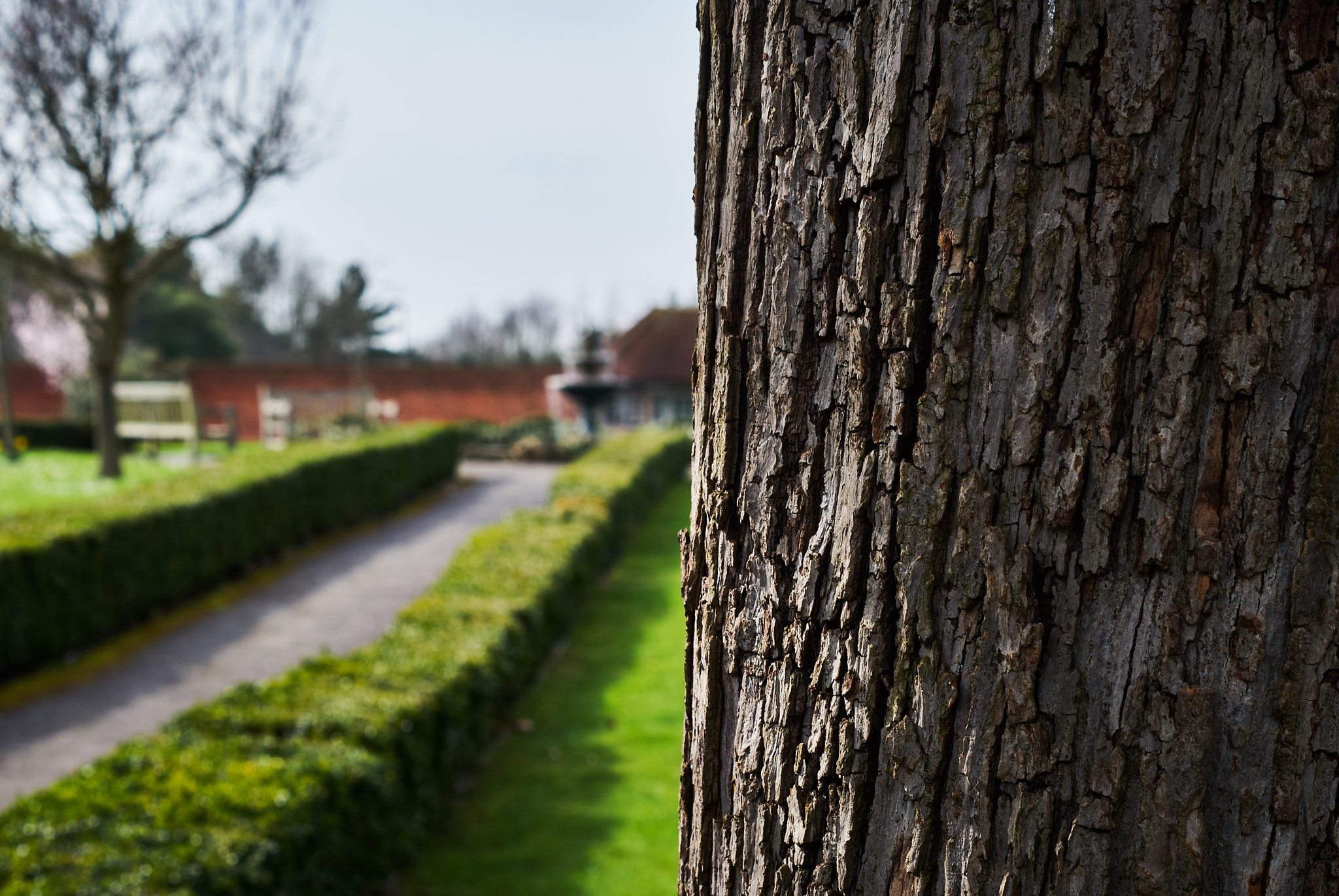 Sony Alpha DSLR-A330 + Sony DT 50mm F1.8 SAM sample photo. Expanse of the garden photography