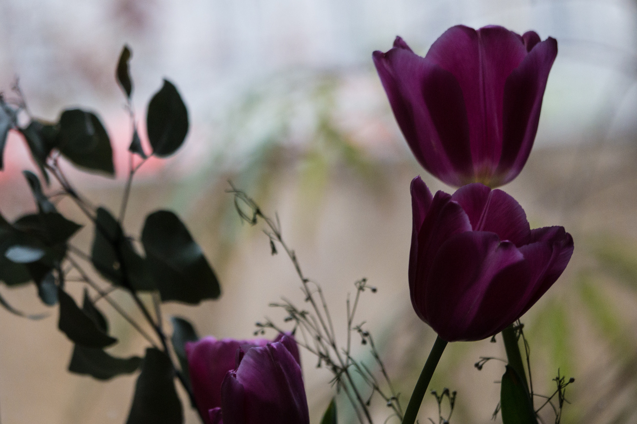 Panasonic Lumix DMC-GX7 sample photo