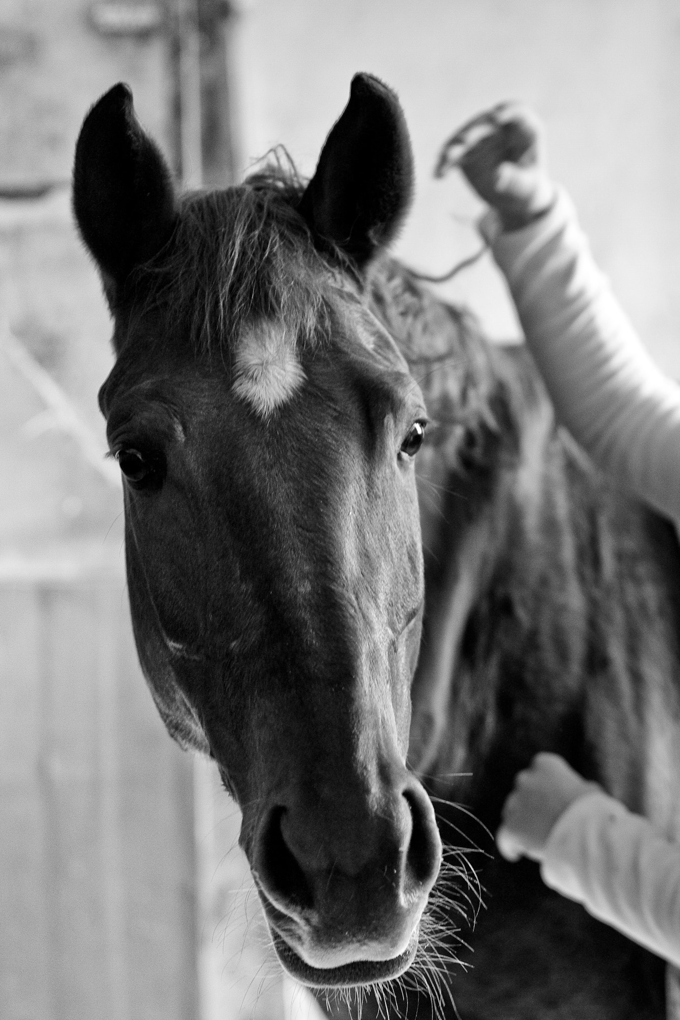 Canon EF 85mm F1.8 USM sample photo. Img photography