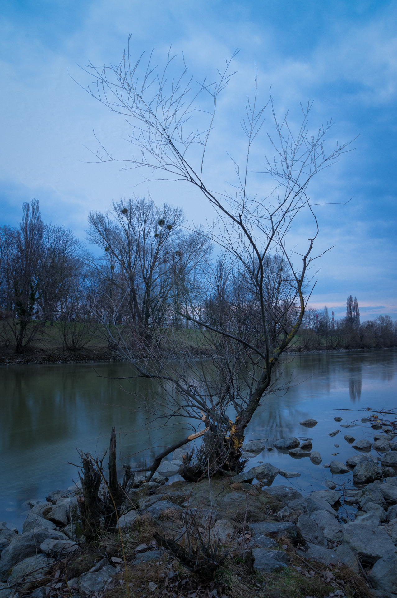 Pentax K-3 sample photo. Lonely tree photography