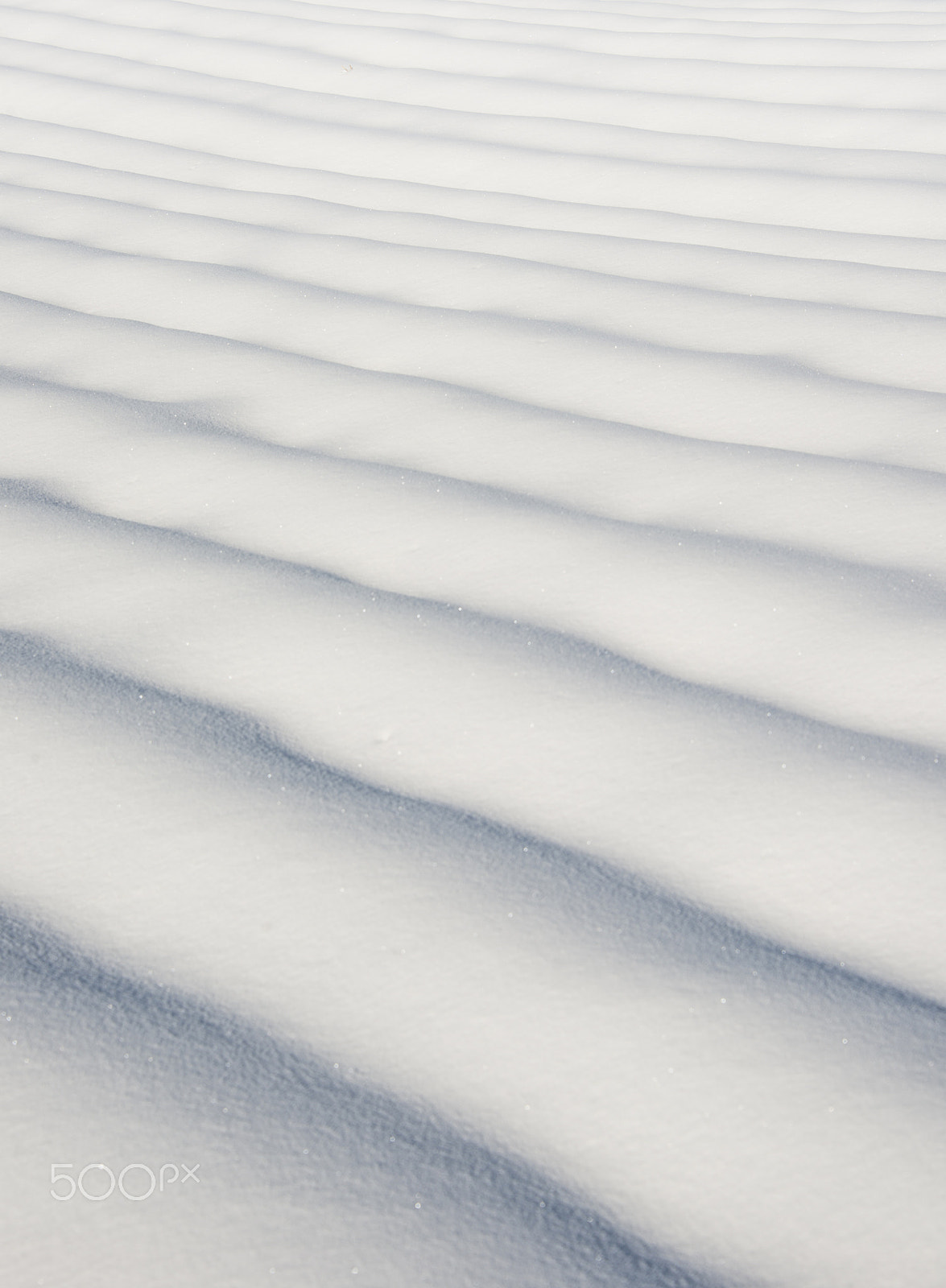 Nikon D800E sample photo. Snow lines photography