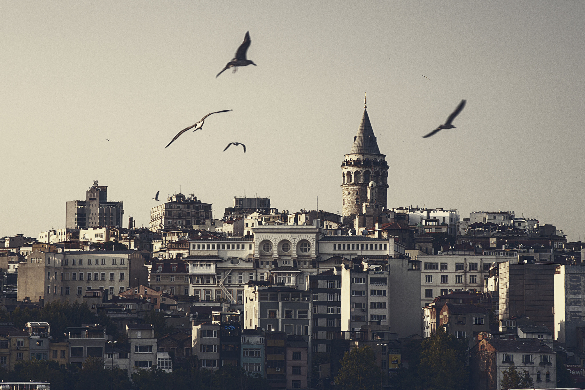 Canon EOS 60D sample photo. Galata tower photography
