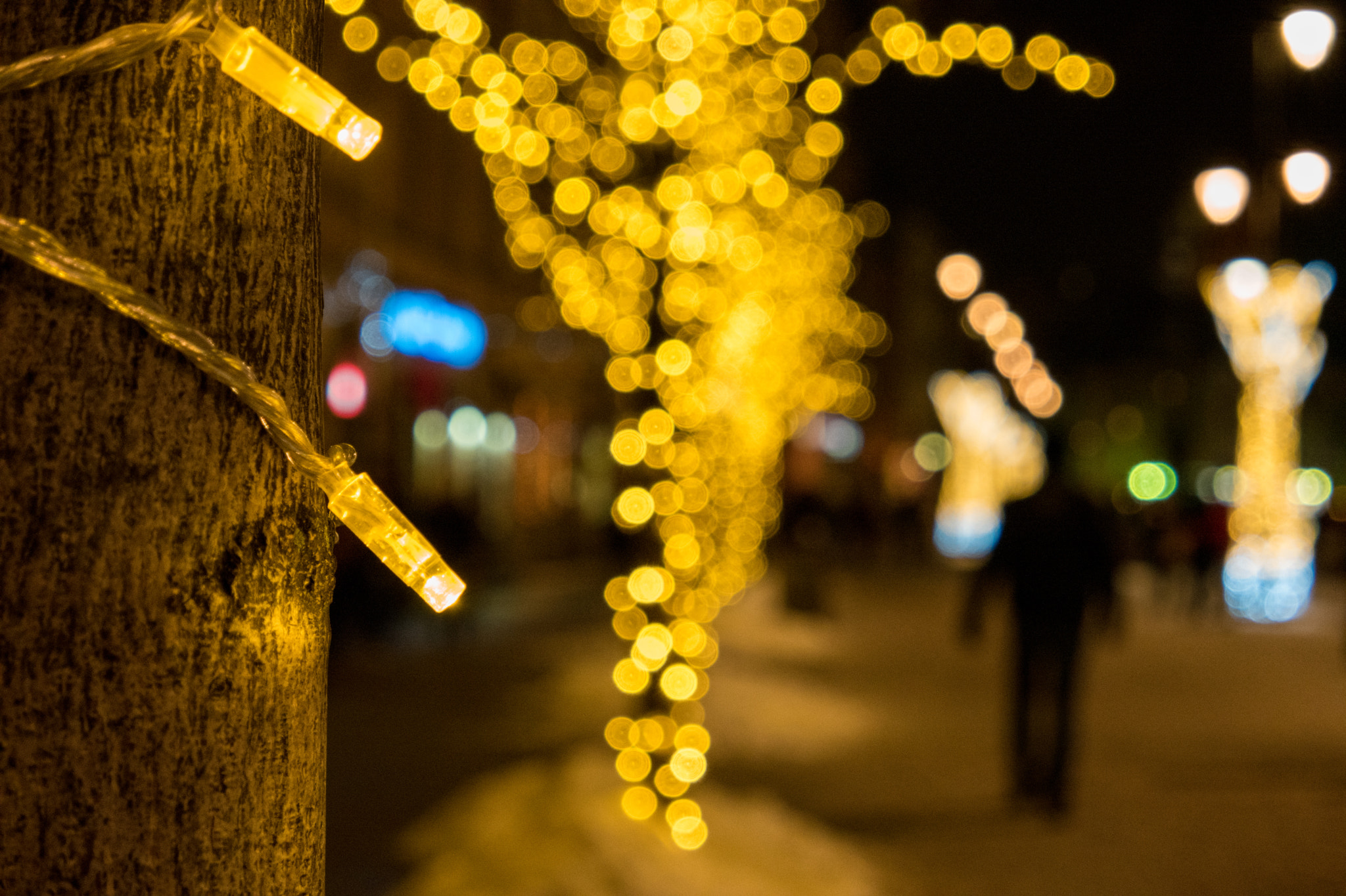 Samsung NX500 sample photo. Twinkle photography