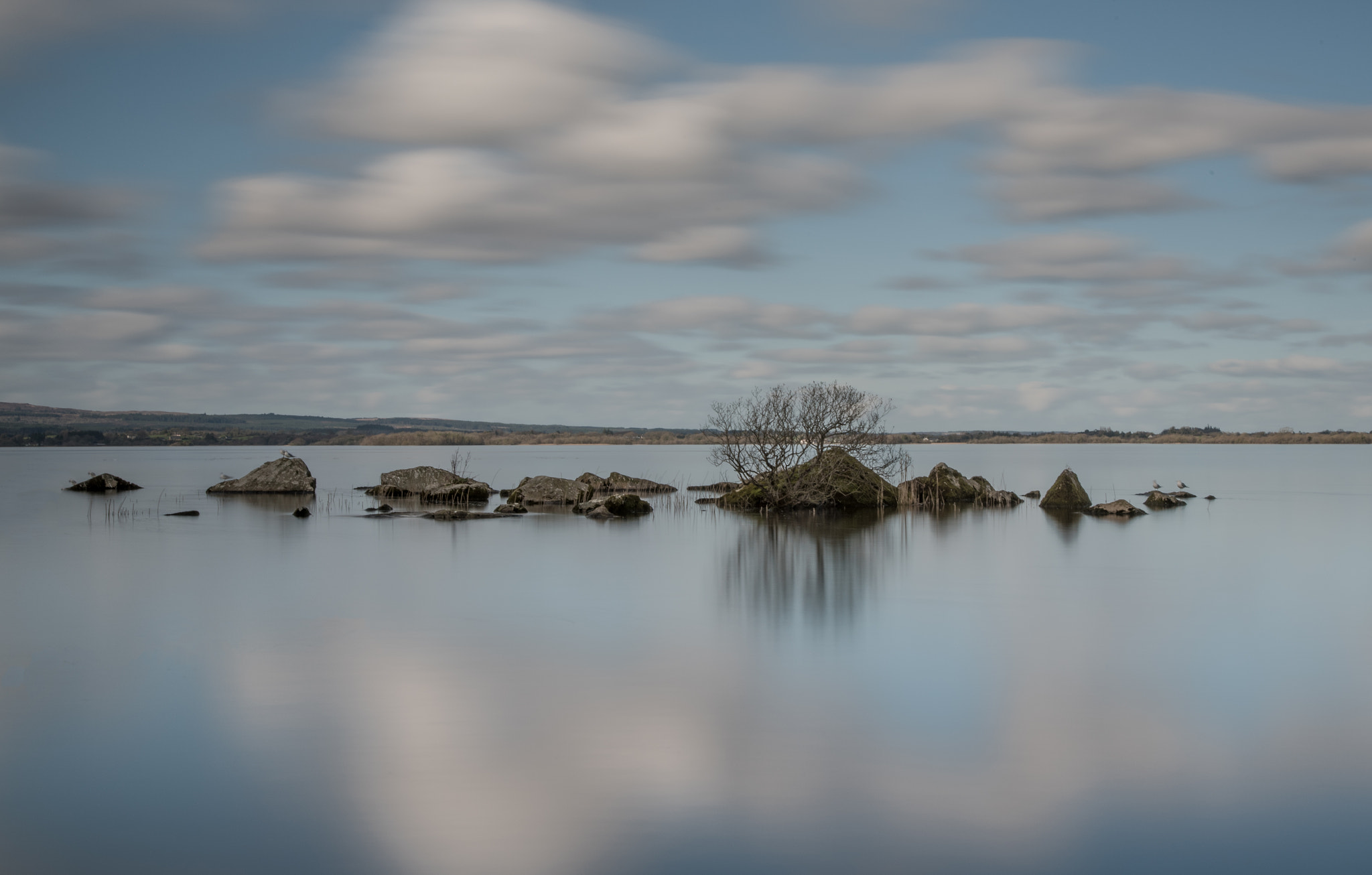 Nikon D750 + Sigma 24-105mm F4 DG OS HSM Art sample photo. Lough derg 11-03-2017 photography