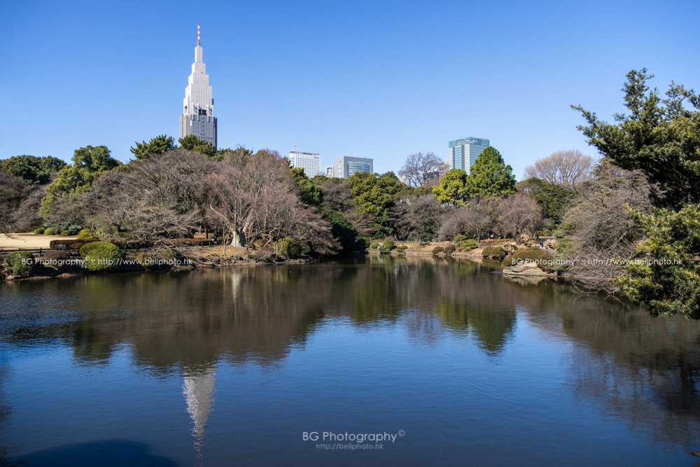 Sony a7 II + Canon EF 85mm F1.2L II USM sample photo. Shinjuku park. photography