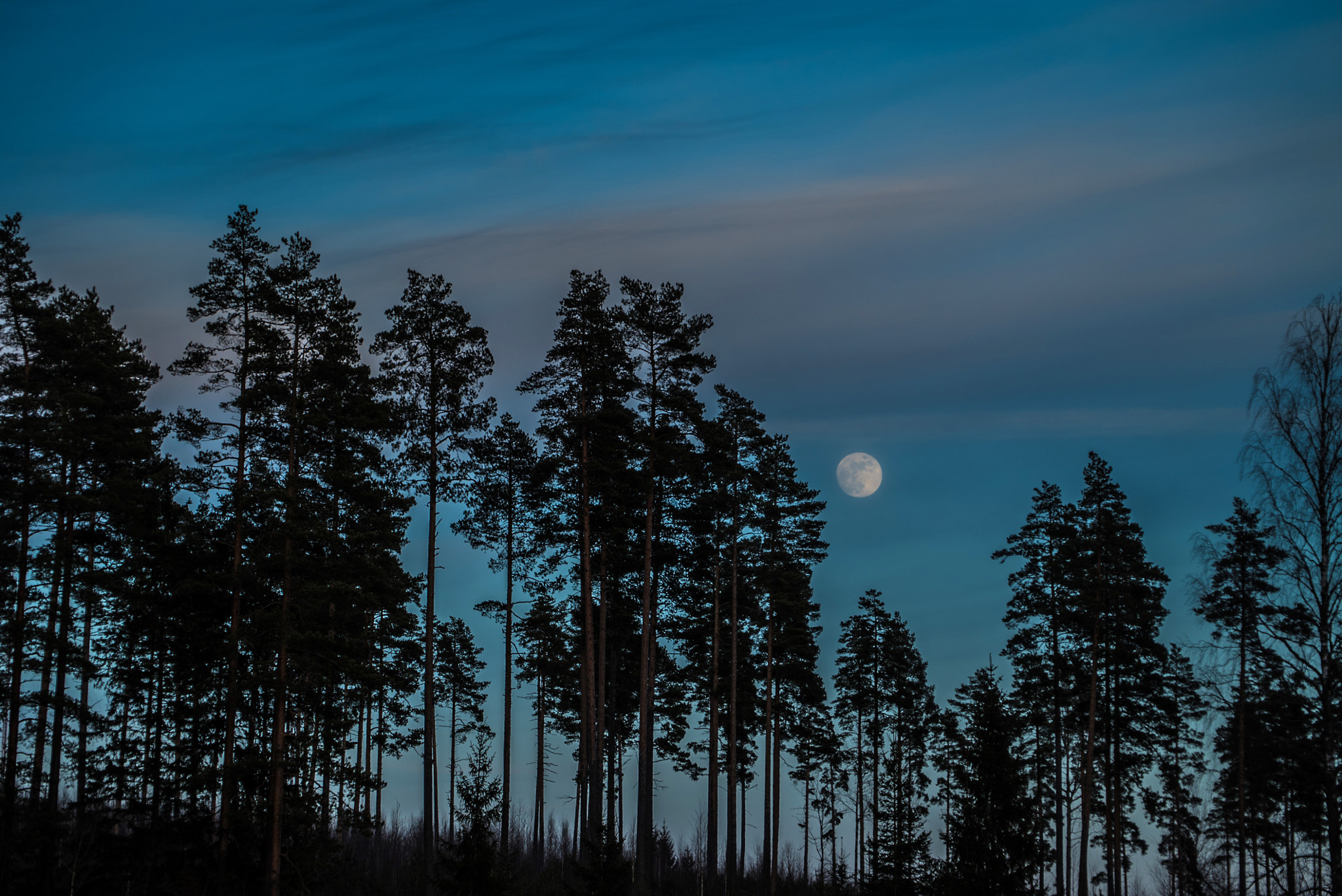 Sony a7S + Sony FE 24-240mm F3.5-6.3 OSS sample photo. Moon photography