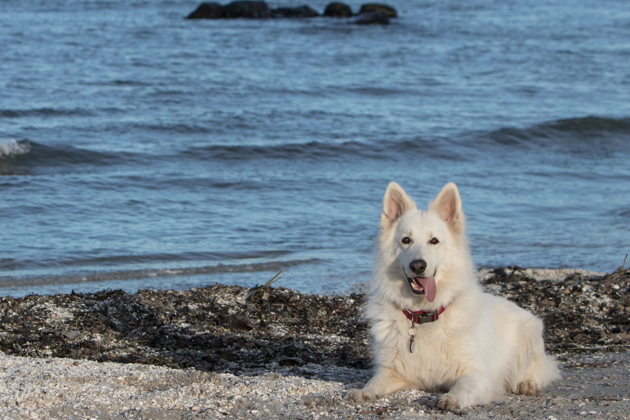 Canon EF 70-200mm F2.8L IS USM sample photo. A day at the beach photography