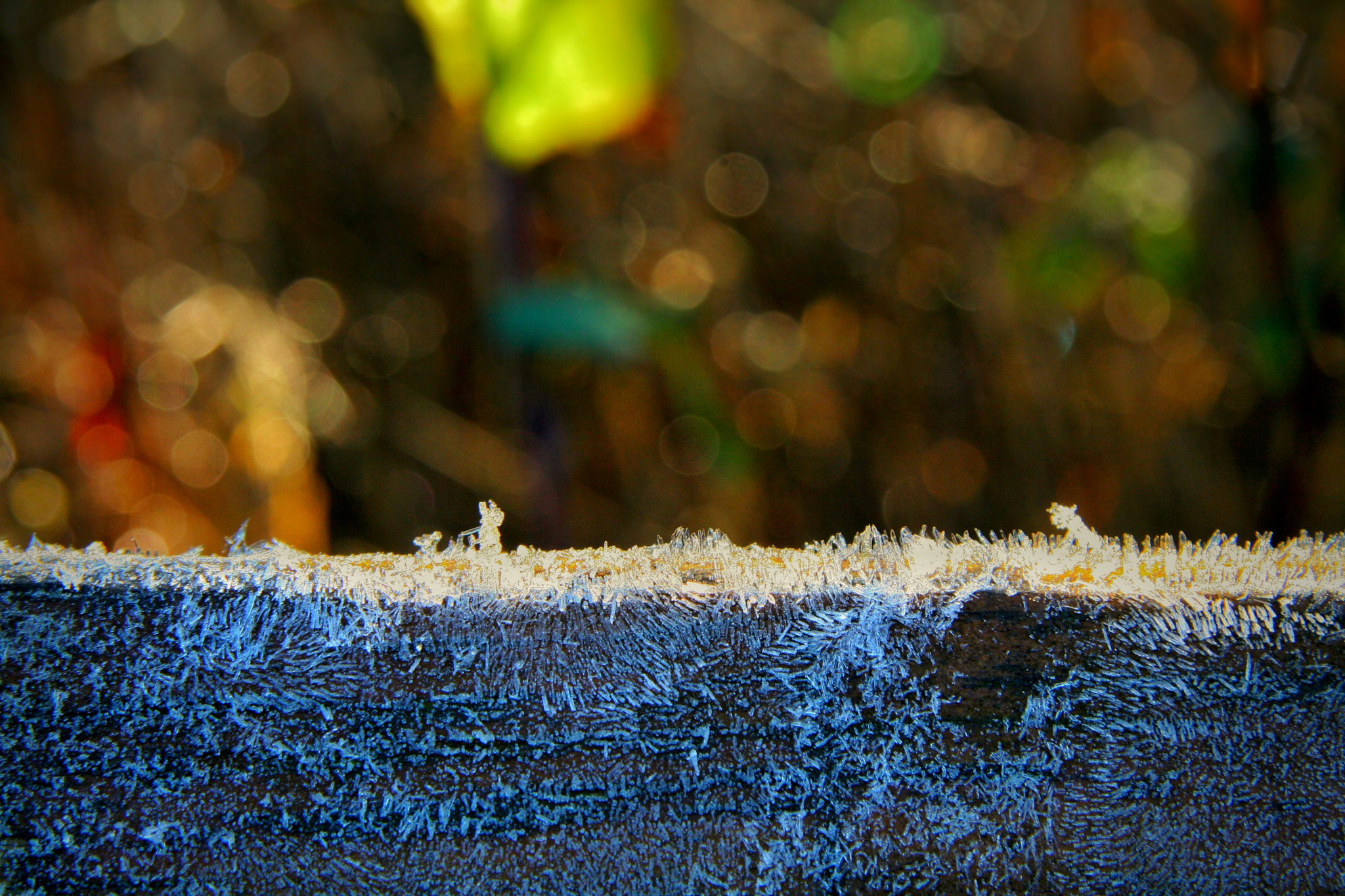 Canon EF-S 17-85mm F4-5.6 IS USM sample photo. Bokeh photography