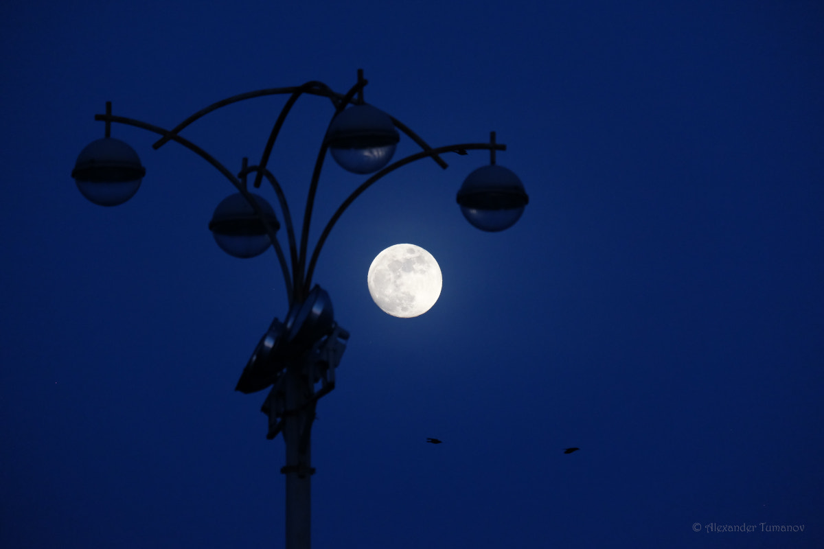 Fujifilm X-T1 + Fujifilm XC 50-230mm F4.5-6.7 OIS sample photo. Сold march moon photography