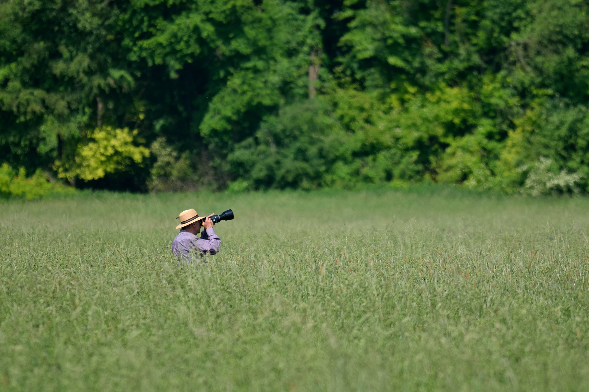 Nikon D7000 sample photo. The planespotter photography