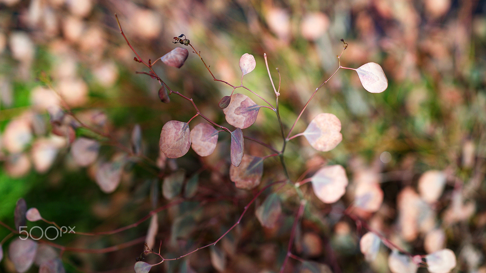 Sony a7S II + Sony FE 85mm F1.4 GM sample photo. We close our eyes photography