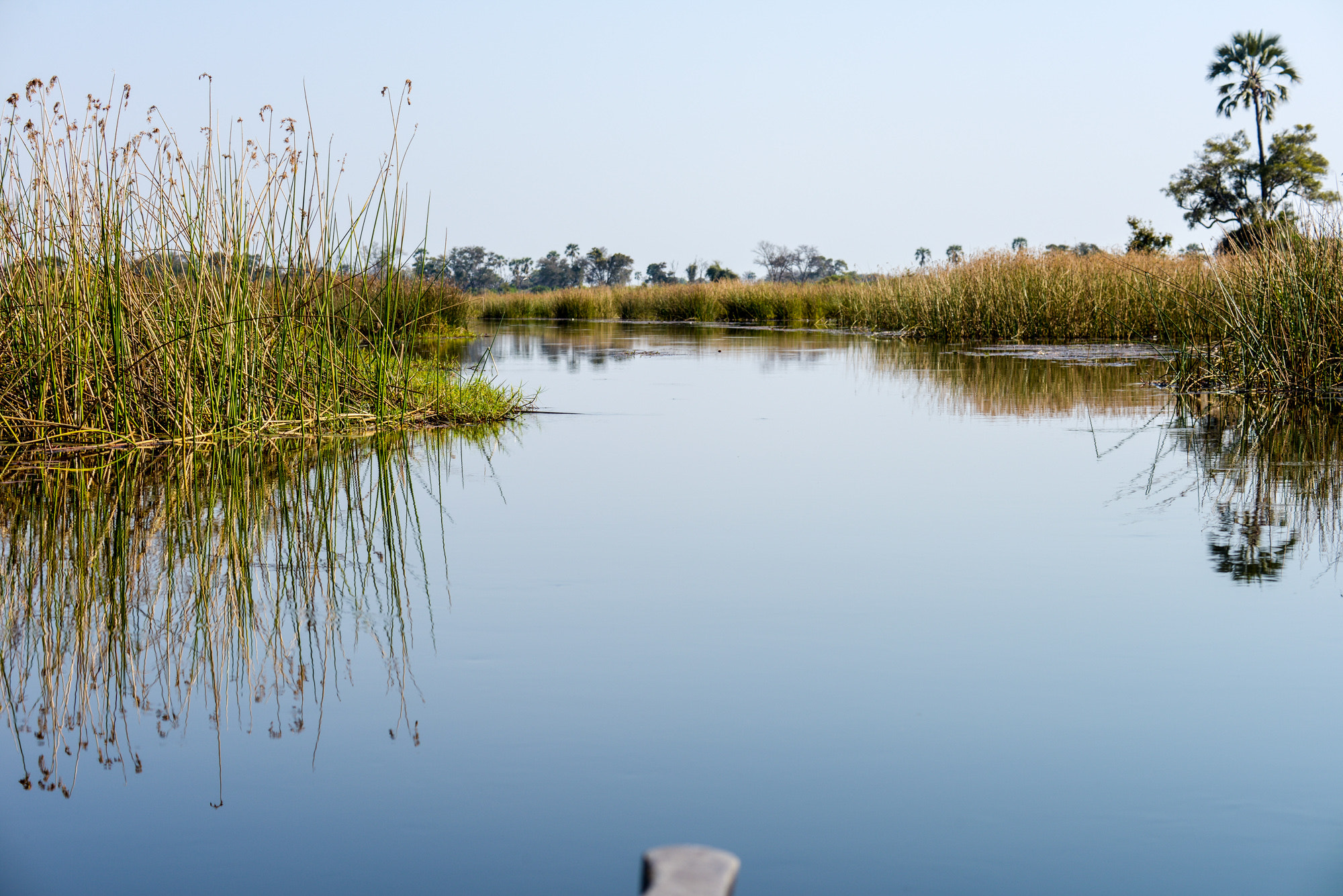 Nikon D800 sample photo. Okavango delta photography