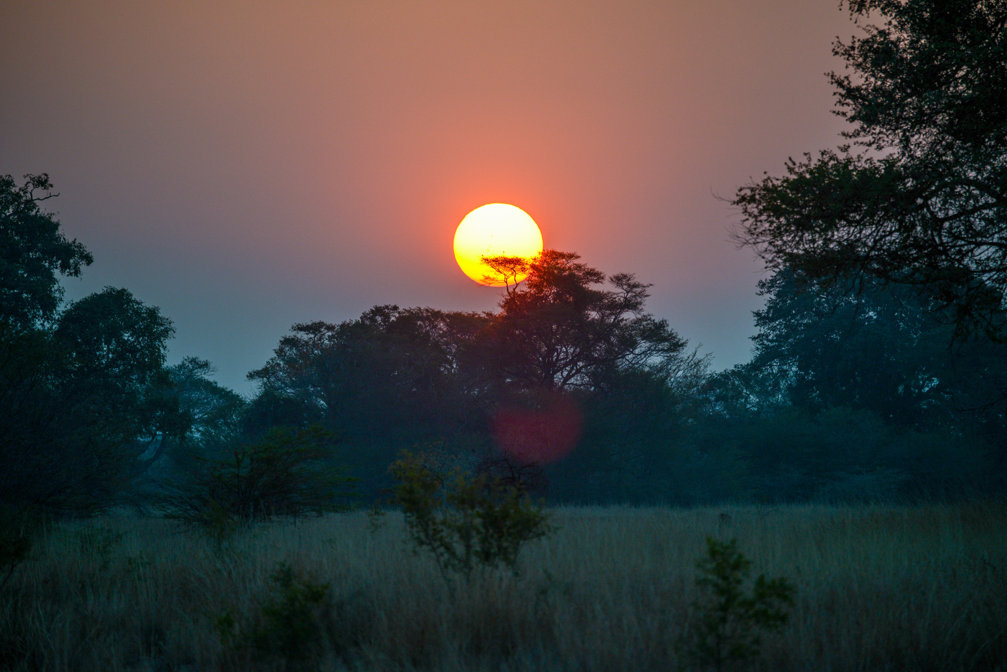 Nikon D800 sample photo. Kafue national park photography