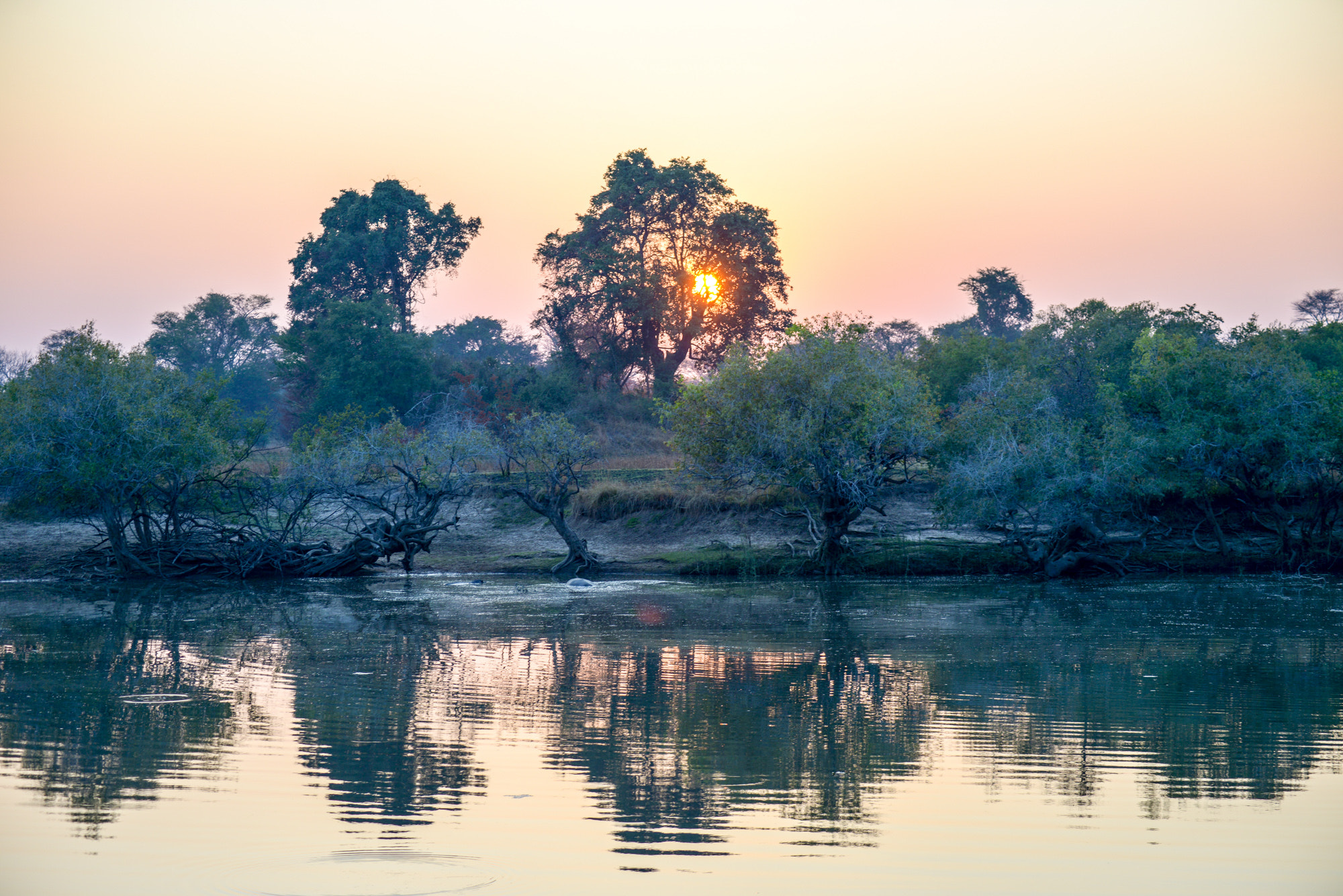Nikon D800 sample photo. Kafue national park photography