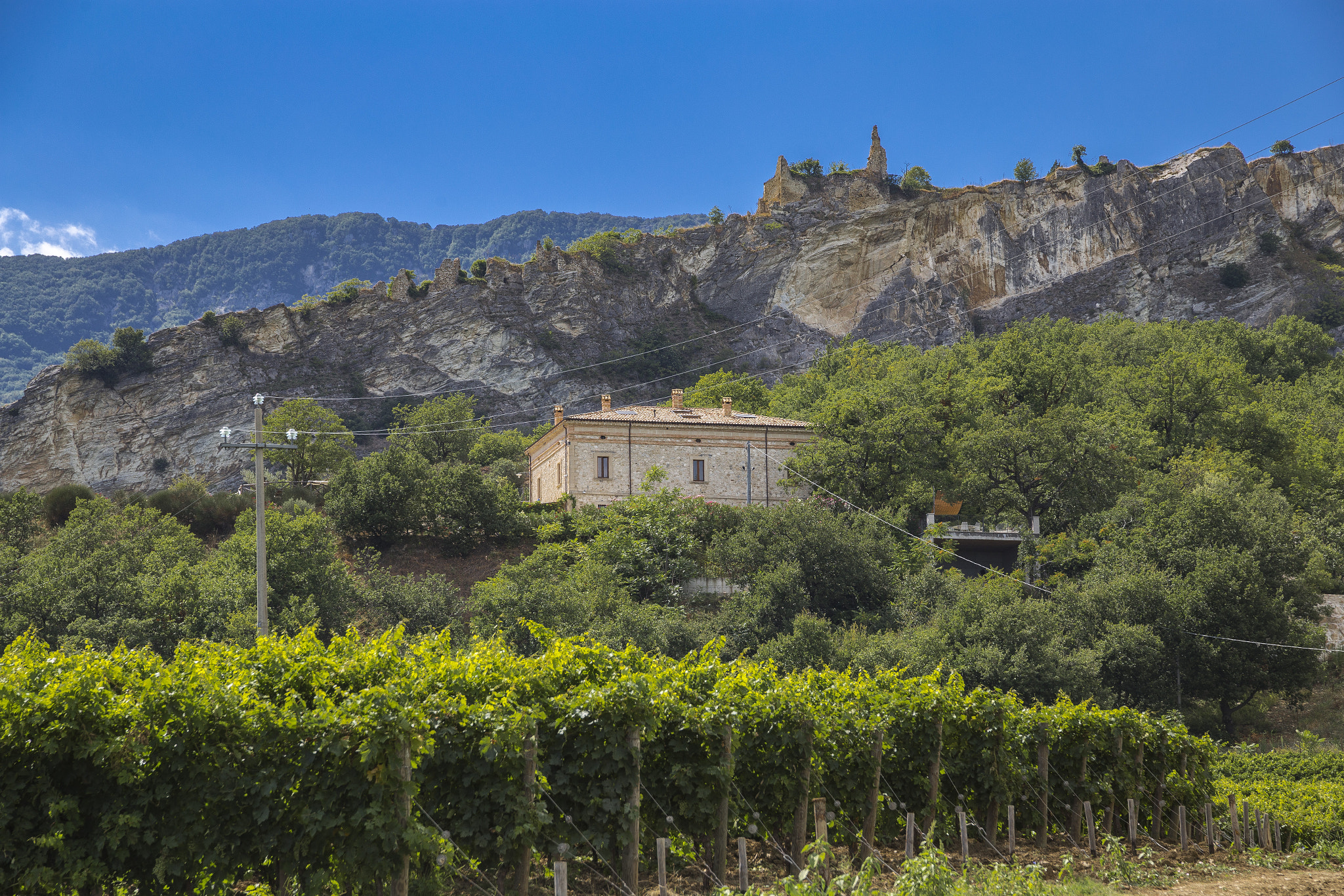 Sigma 24-105mm f/4 DG OS HSM | A sample photo. Tenuta testarossa photography