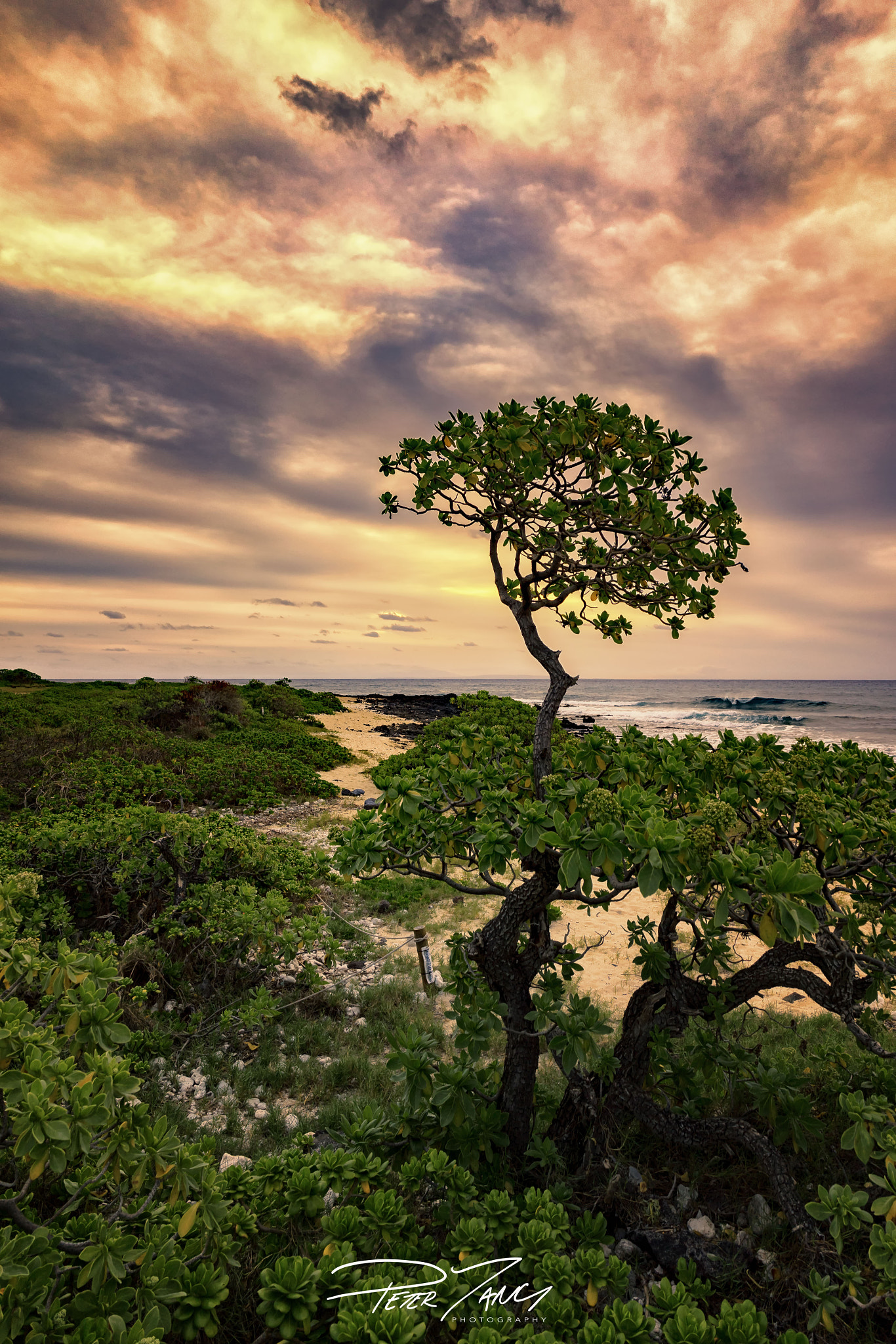 Sony a7 II + ZEISS Batis 18mm F2.8 sample photo. Makai bound photography