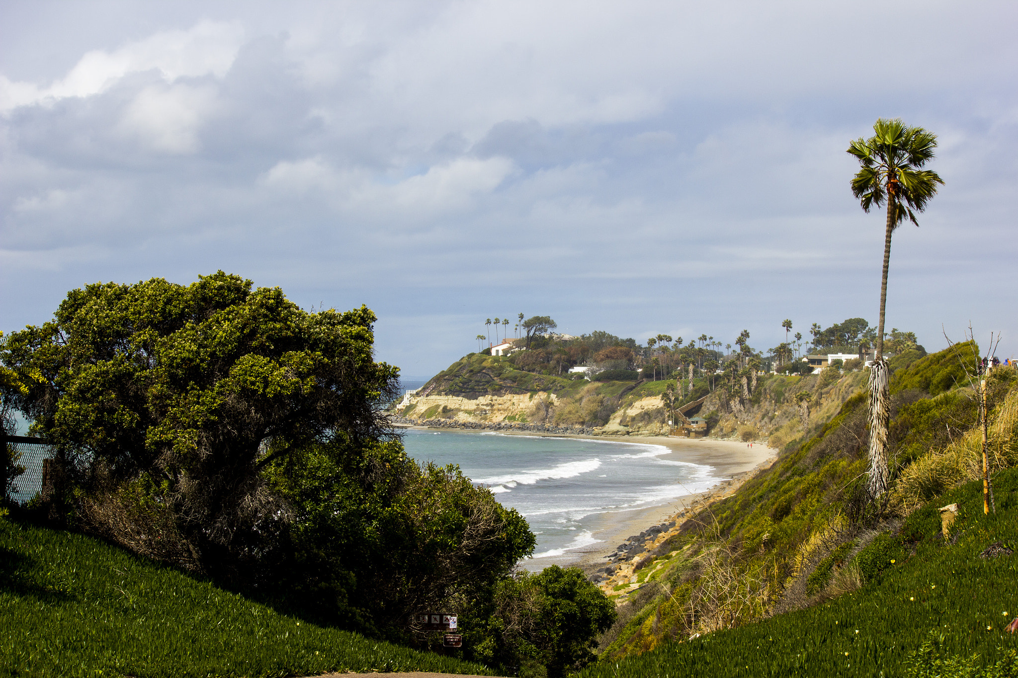 Canon EF-S 55-250mm F4-5.6 IS sample photo. Trees and bushes with beach in distance photography