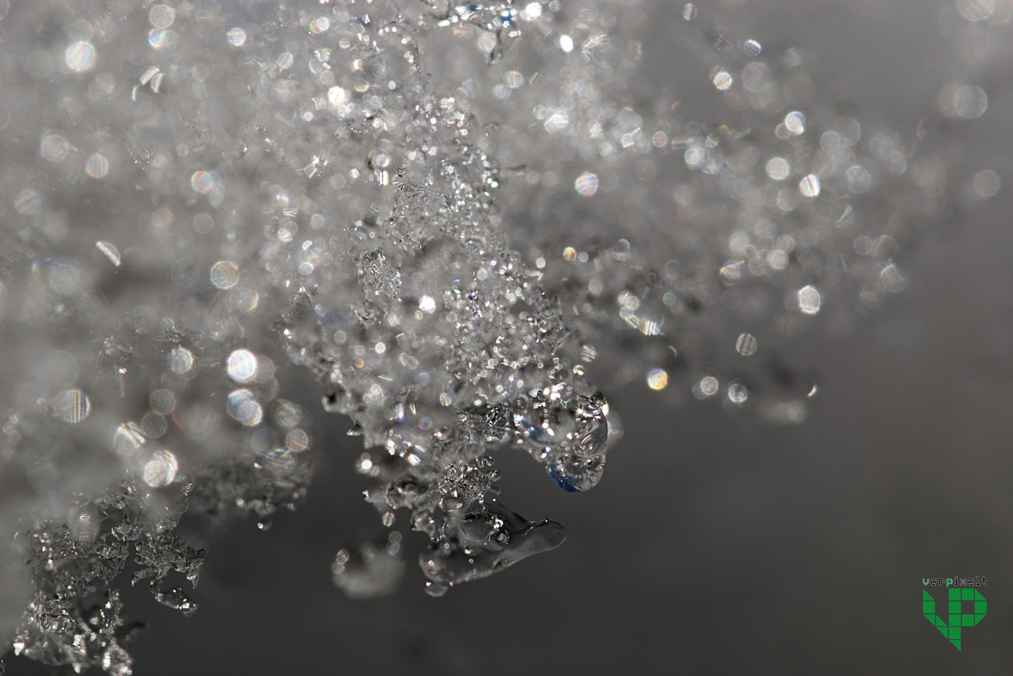 90mm F2.8 Macro SSM sample photo. As cold as ice photography