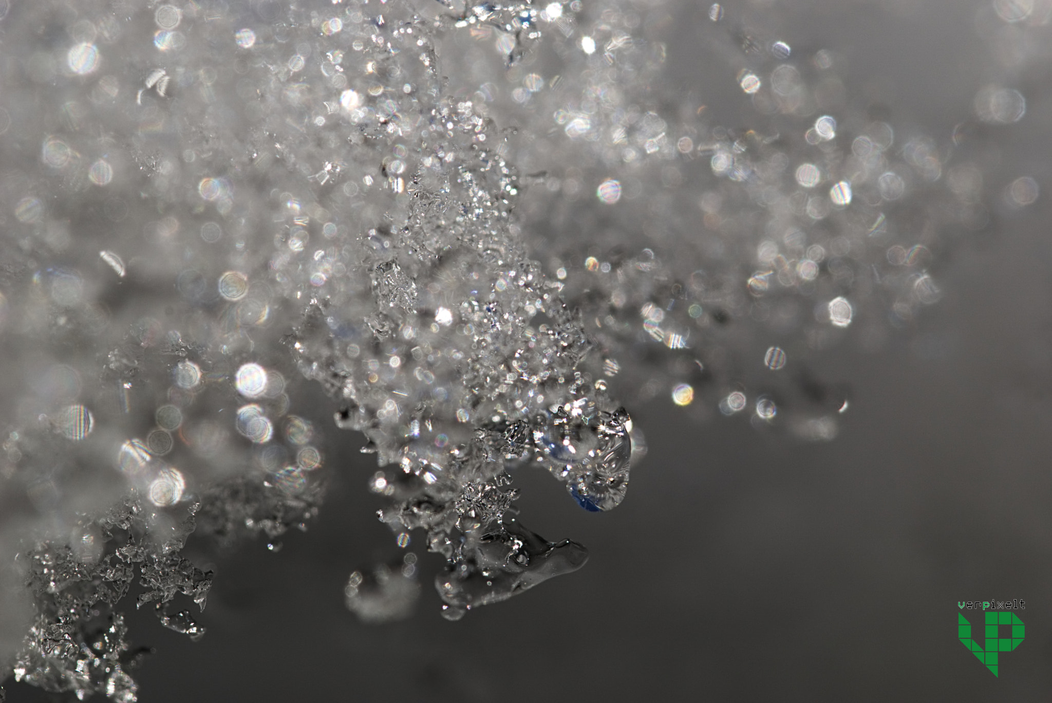 Sony ILCA-77M2 + 90mm F2.8 Macro SSM sample photo. As cold as ice photography