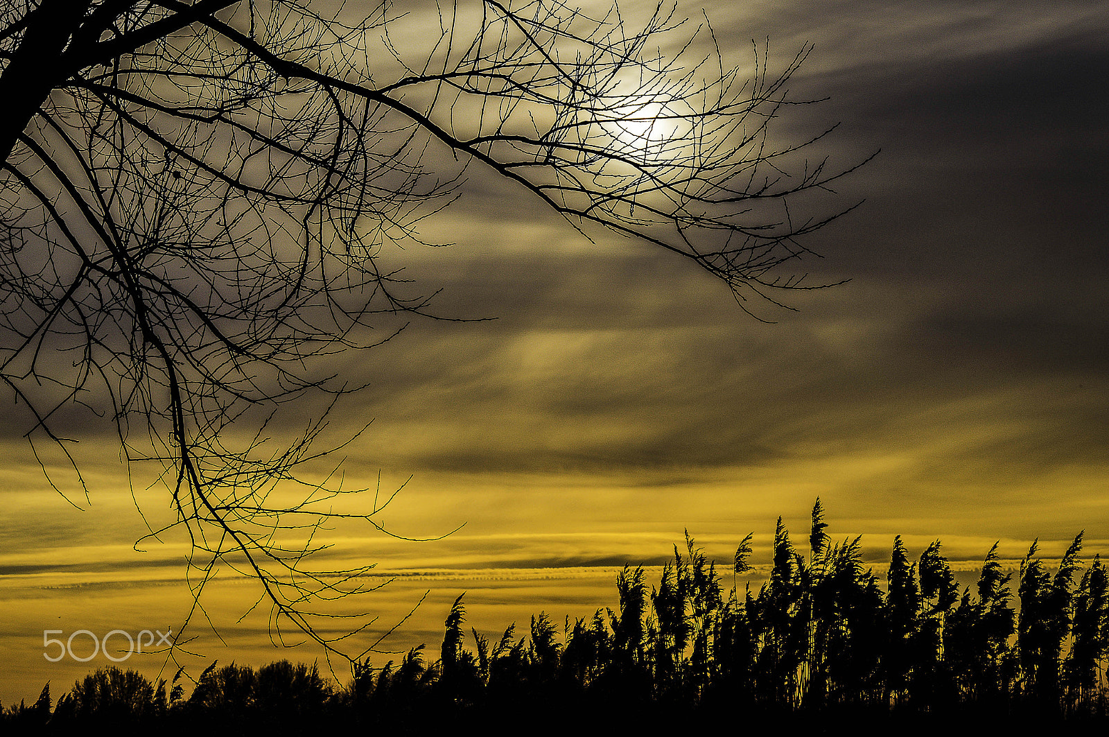 Sony SLT-A57 + Sigma 70-300mm F4-5.6 DL Macro sample photo. Sunset ! photography