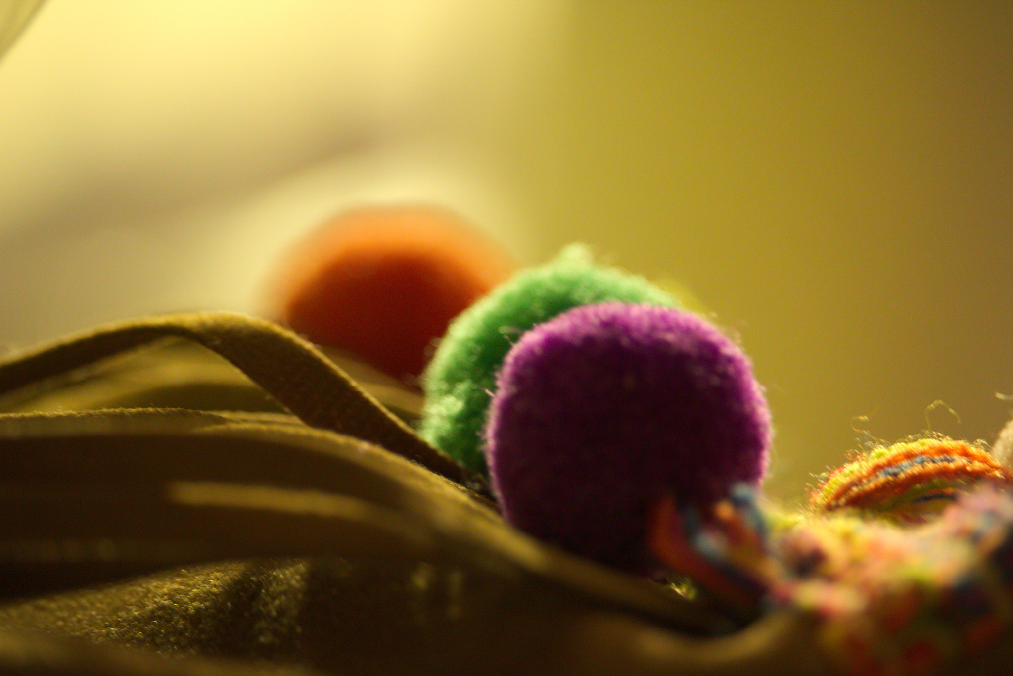Canon EF-S 55-250mm F4-5.6 IS STM sample photo. Pompones de colores photography