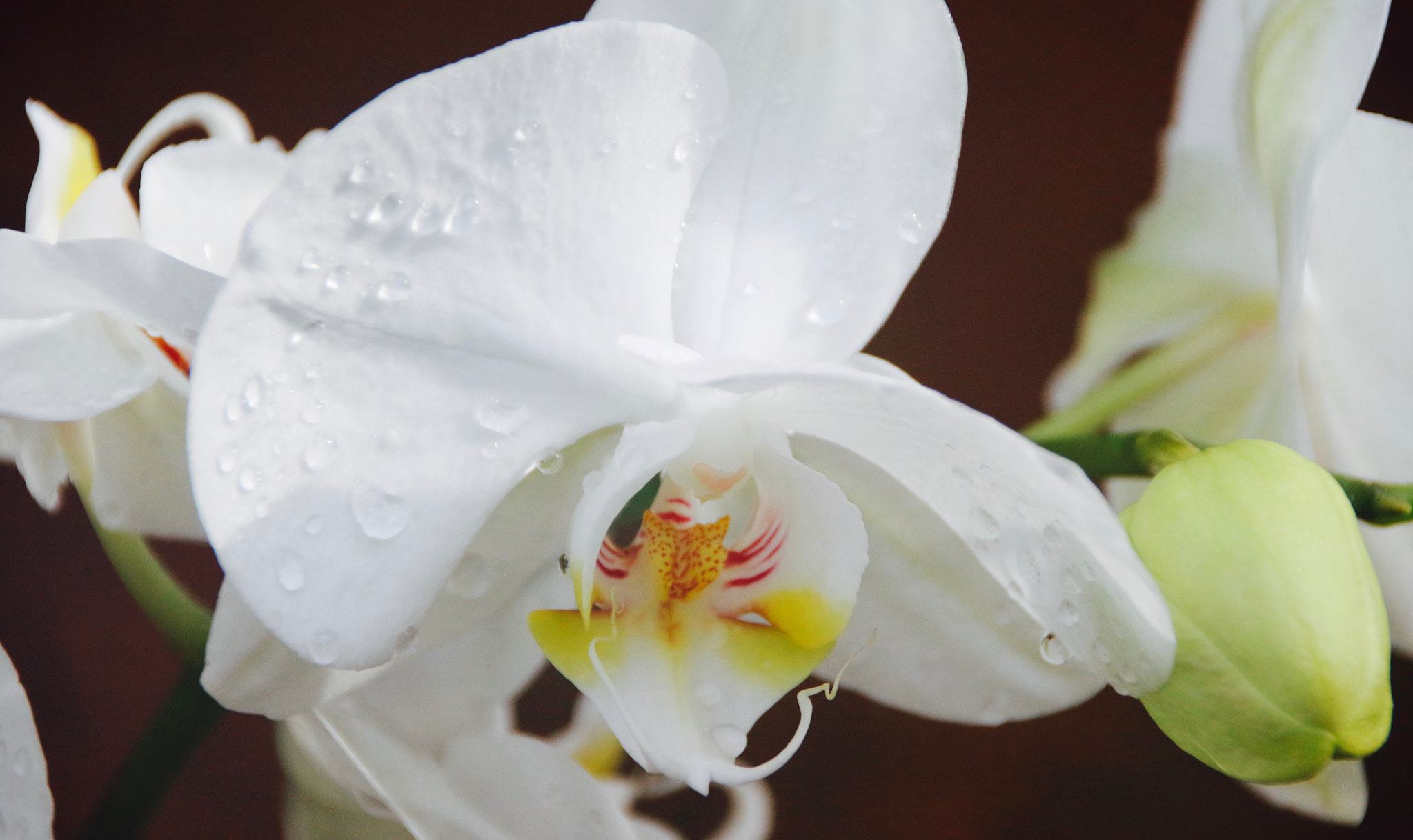 Sigma 18-250mm F3.5-6.3 DC OS HSM sample photo. Really a amazing view photography