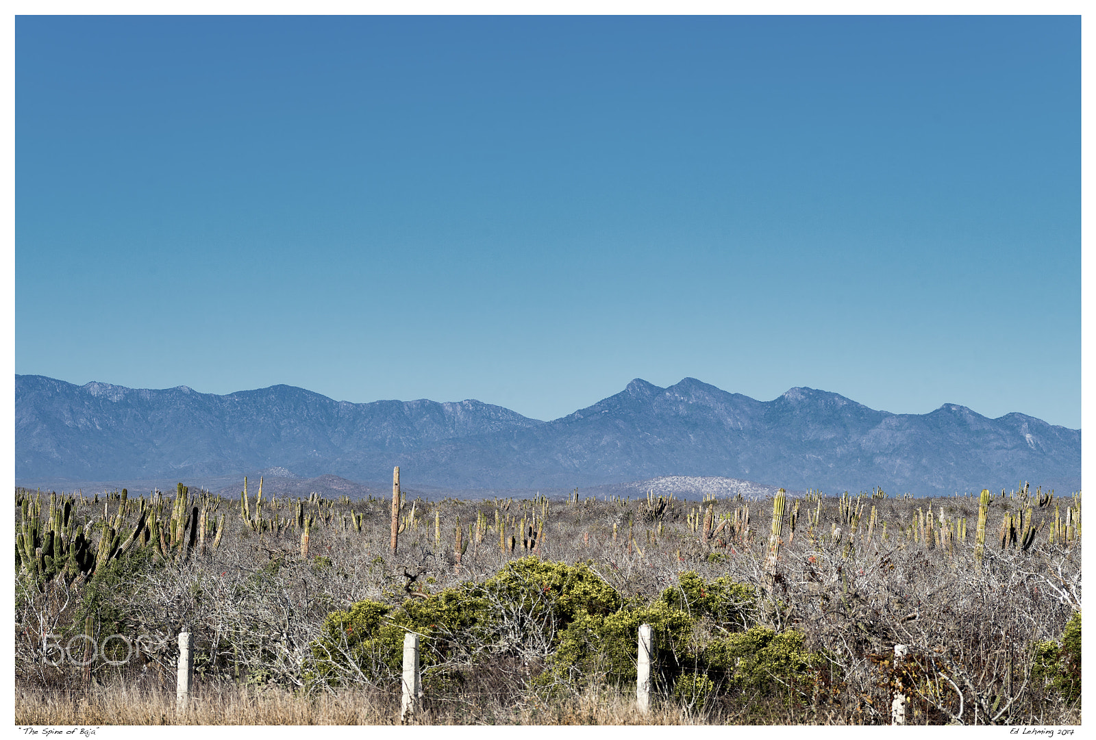 Nikon D800 sample photo. "the spine of baja" photography