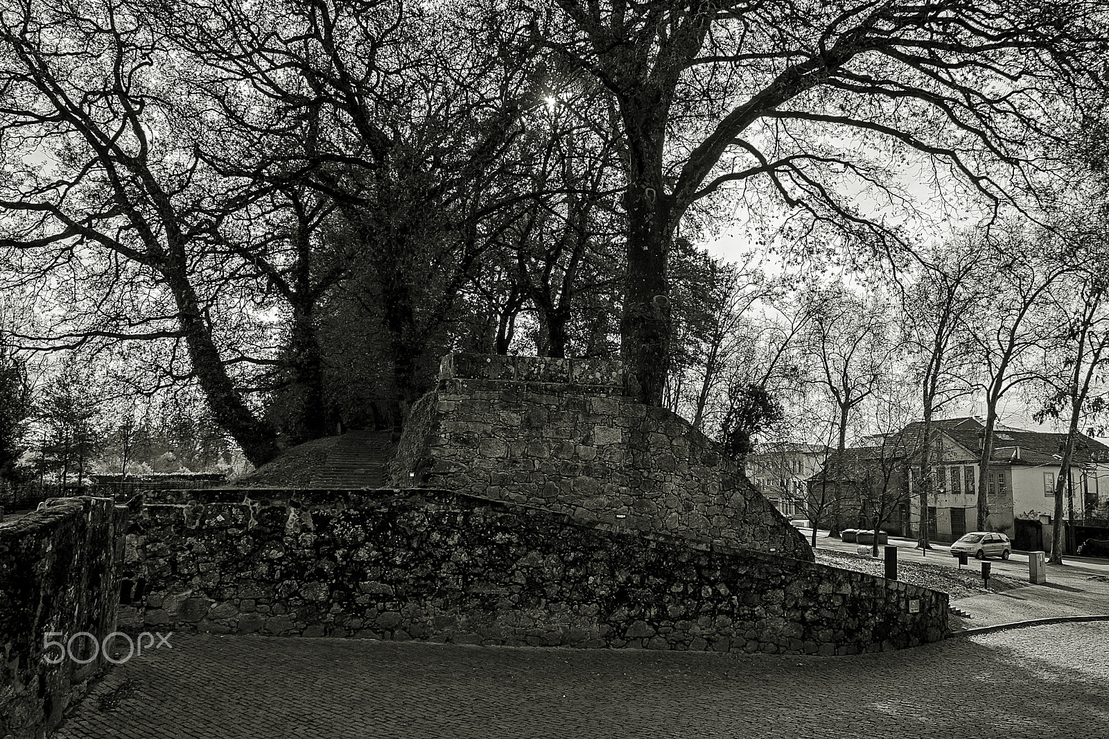 Canon EOS 500D (EOS Rebel T1i / EOS Kiss X3) sample photo. The wall. photography