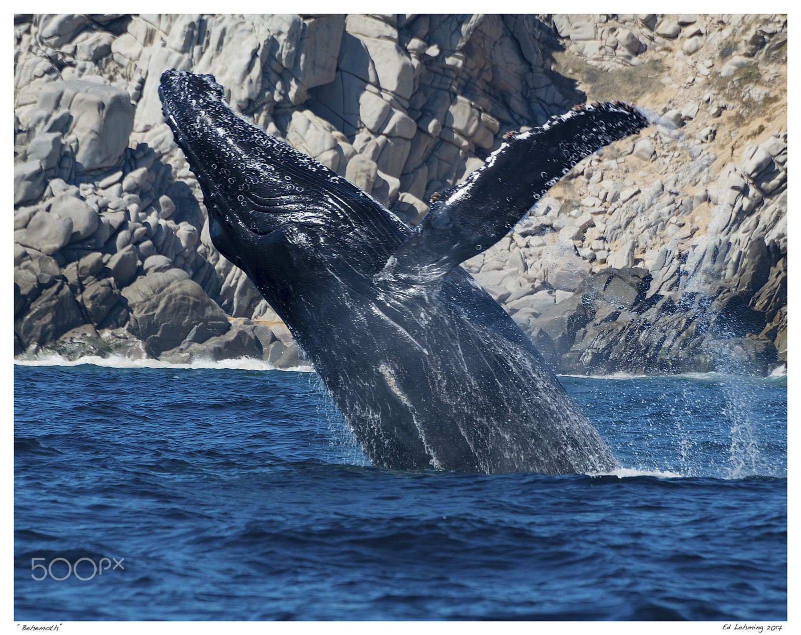 Nikon D800 sample photo. Behemoth photography