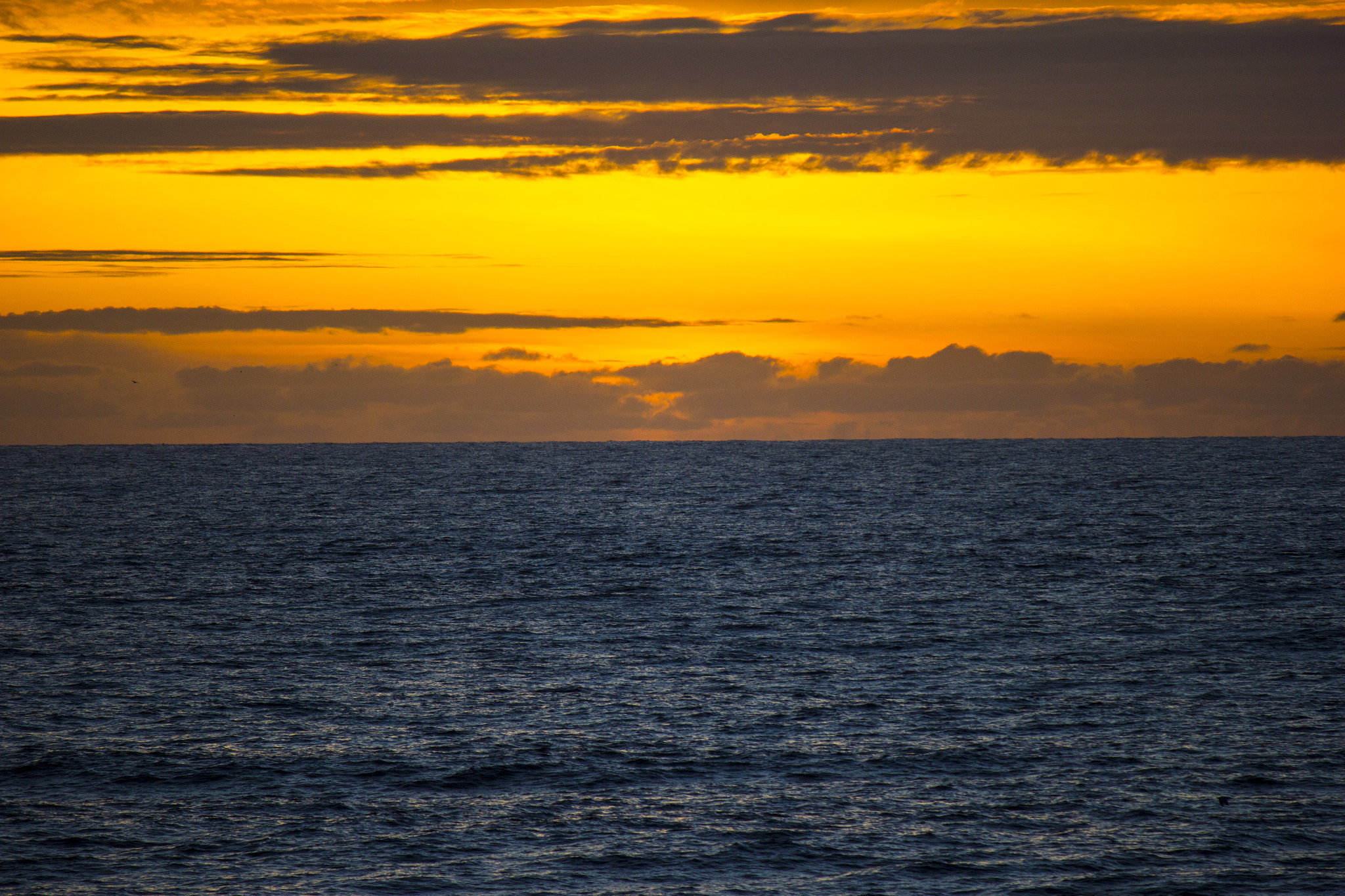 Canon EOS 550D (EOS Rebel T2i / EOS Kiss X4) sample photo. Ocean sunset with dramatic colors photography