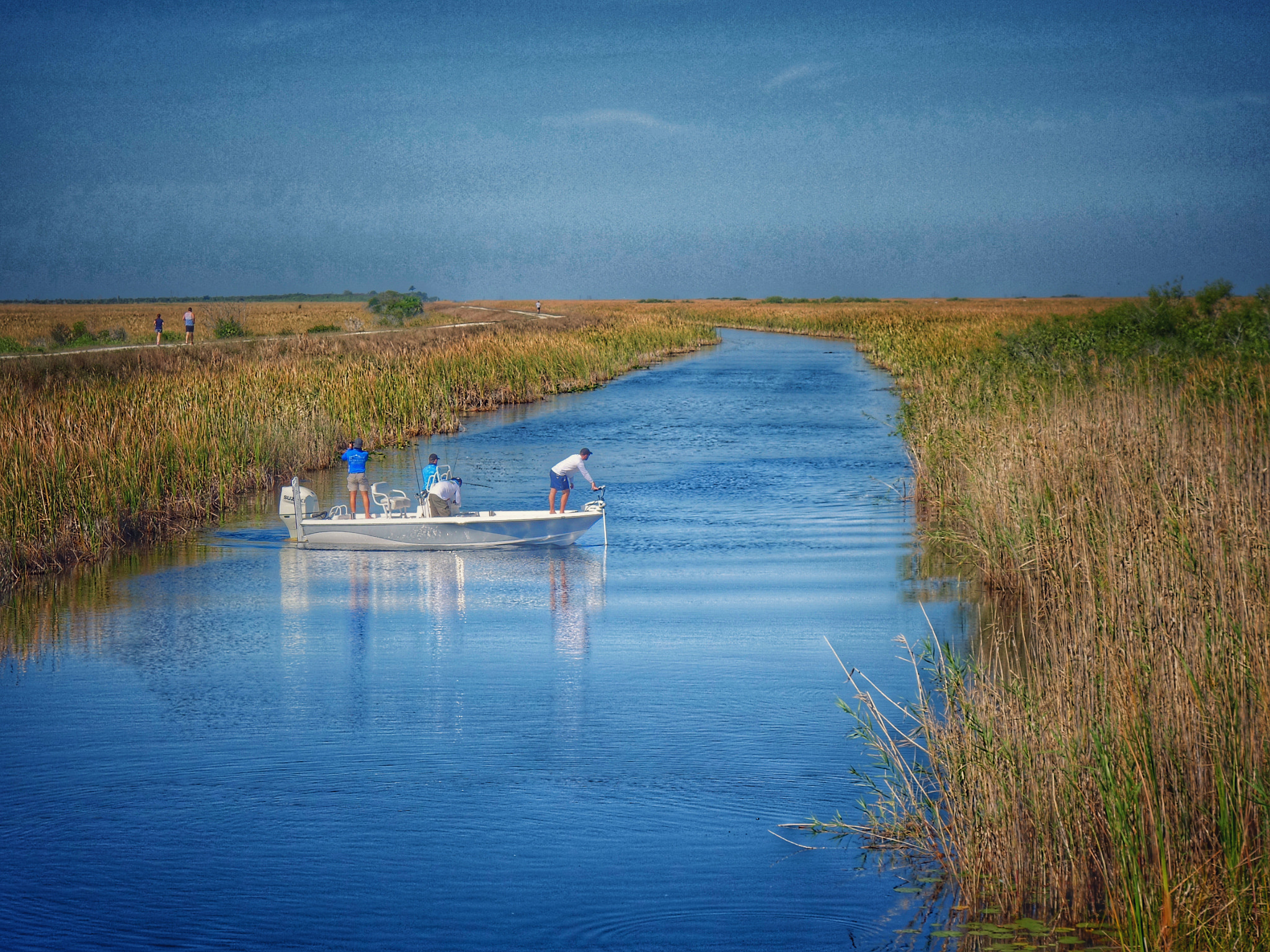 Sony Cyber-shot DSC-RX100 II + Sony 28-100mm F1.8-4.9 sample photo. Florida's everglades photography