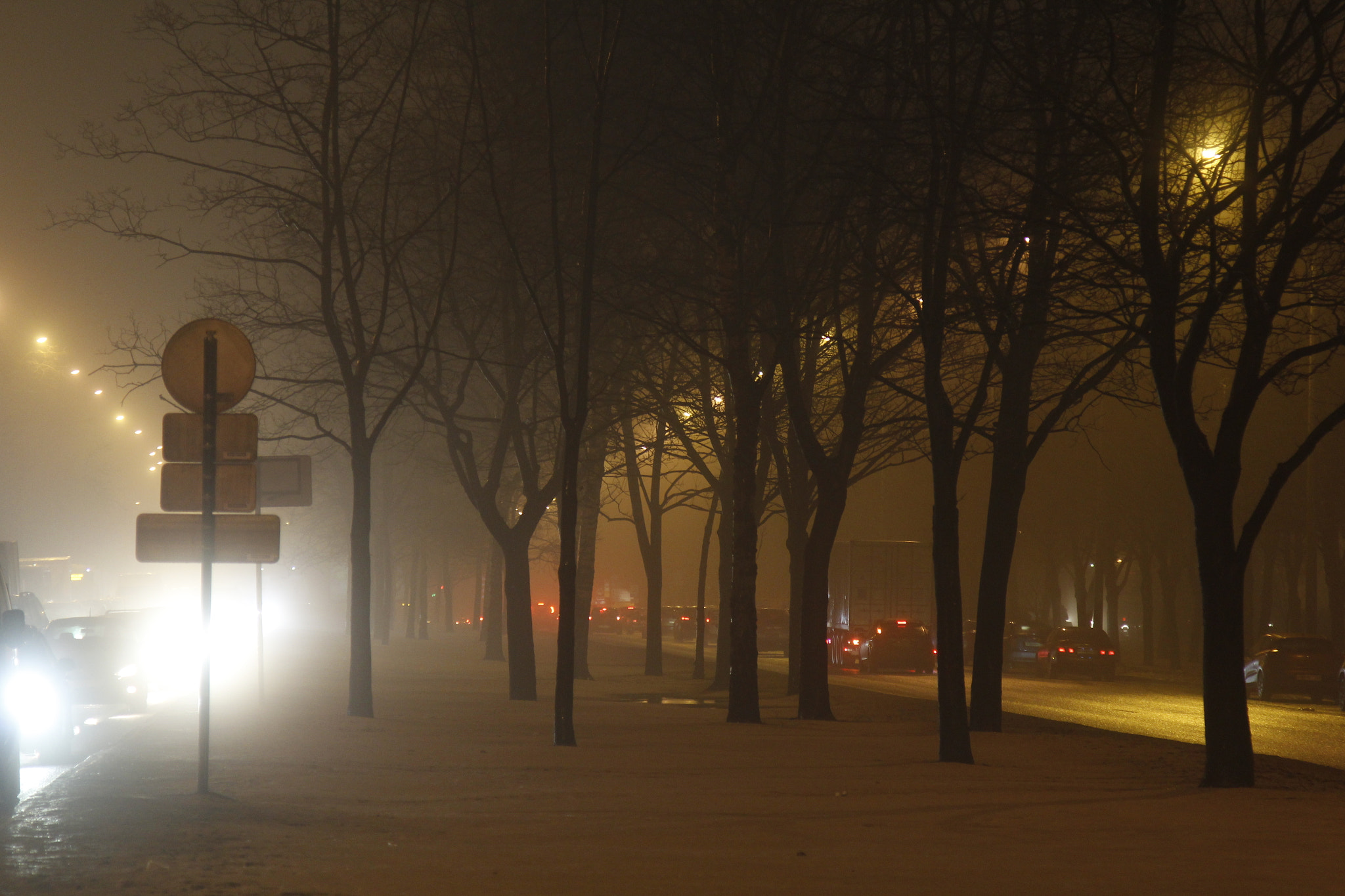 Canon EOS 1200D (EOS Rebel T5 / EOS Kiss X70 / EOS Hi) + Canon EF 24-105mm F4L IS USM sample photo. Foggy avenue photography