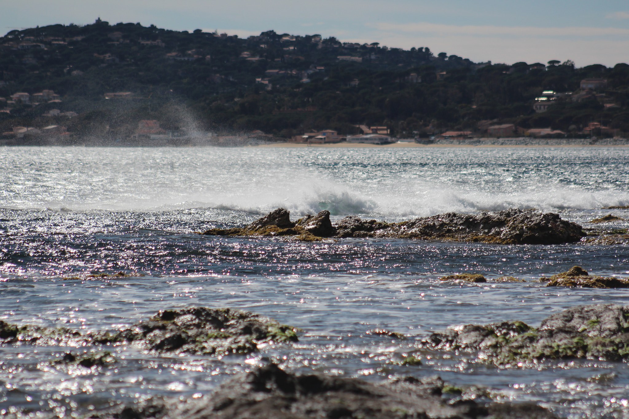 Canon EF 75-300mm f/4-5.6 USM sample photo. Img photography