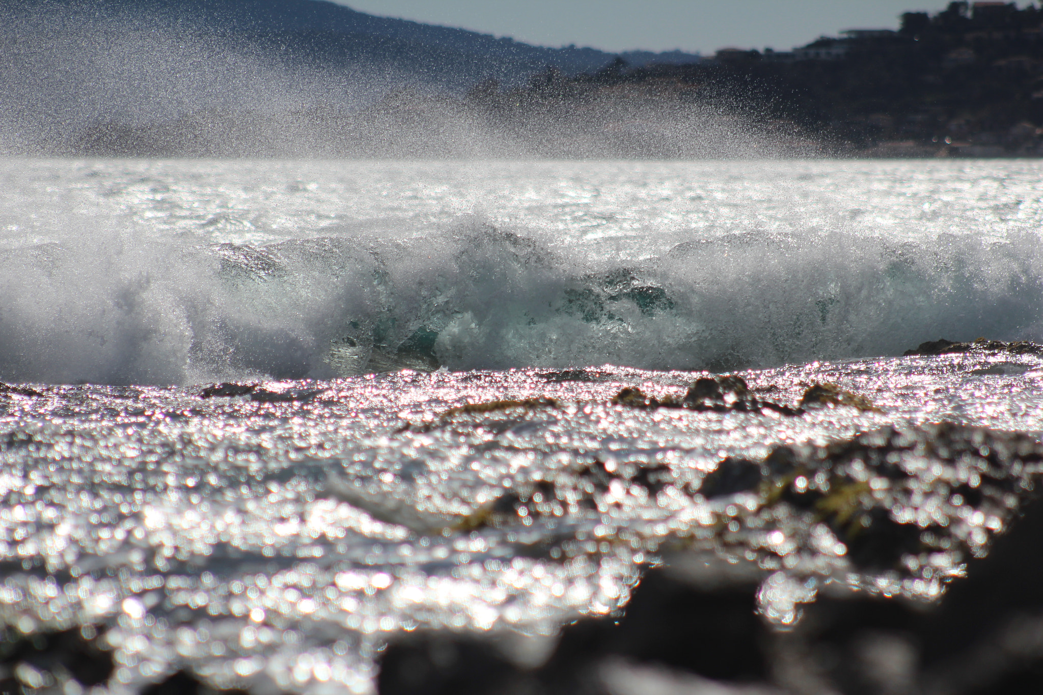 Canon EF 75-300mm f/4-5.6 USM sample photo. Img photography