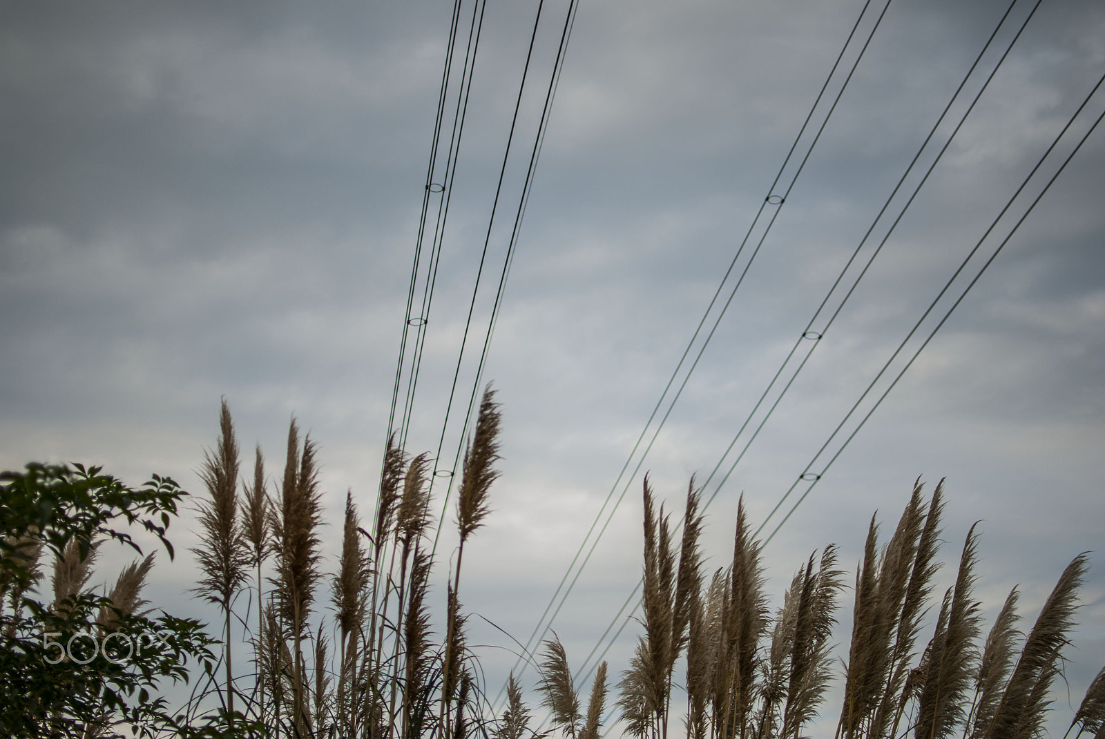 Nikon D80 + Nikon AF-S DX Nikkor 35mm F1.8G sample photo. Lines in the sky photography