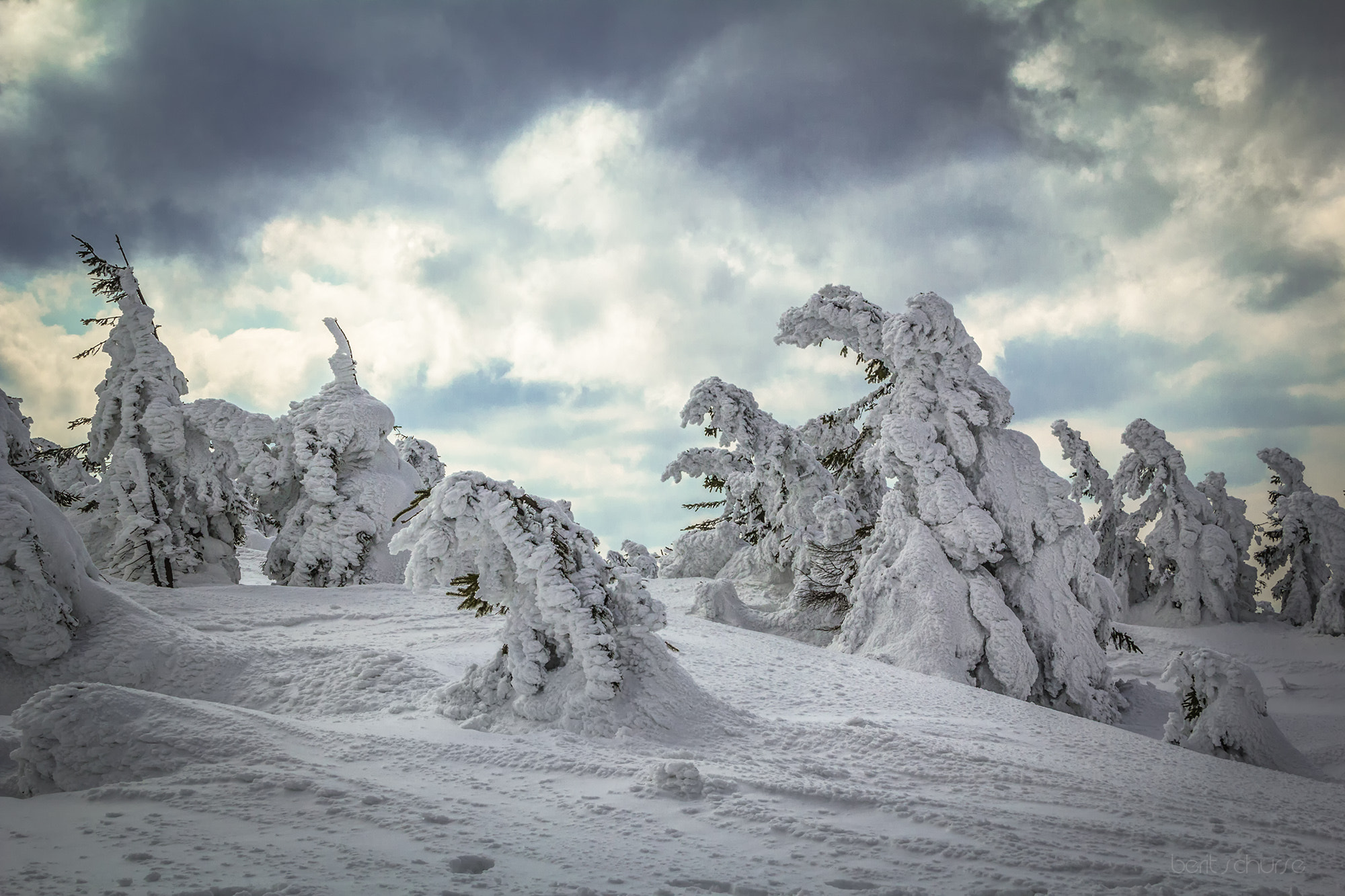 Sigma 18-250mm F3.5-6.3 DC OS HSM sample photo. Winter wonderland photography