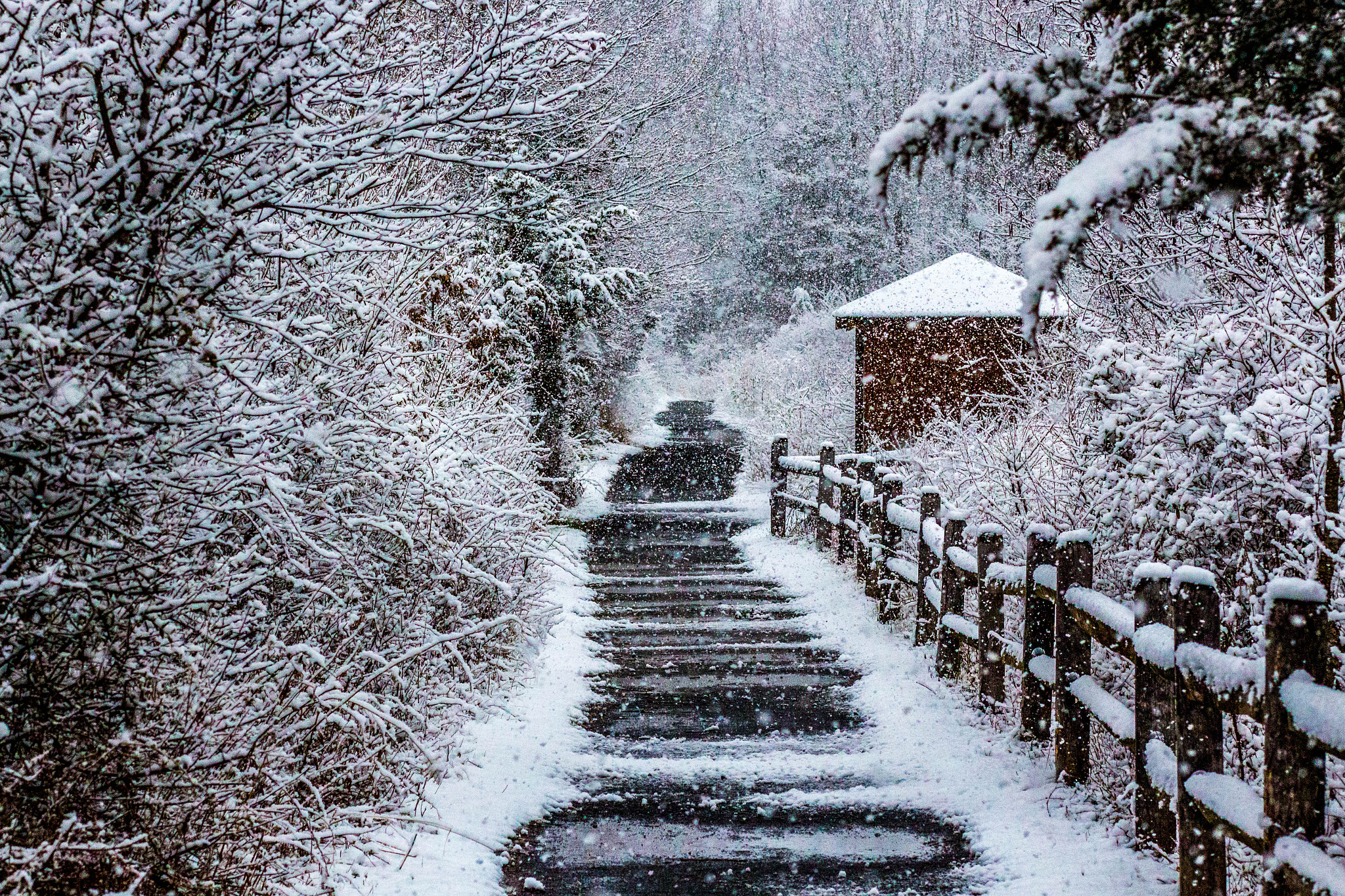 Canon EF 85mm F1.8 USM sample photo. Snowy path photography