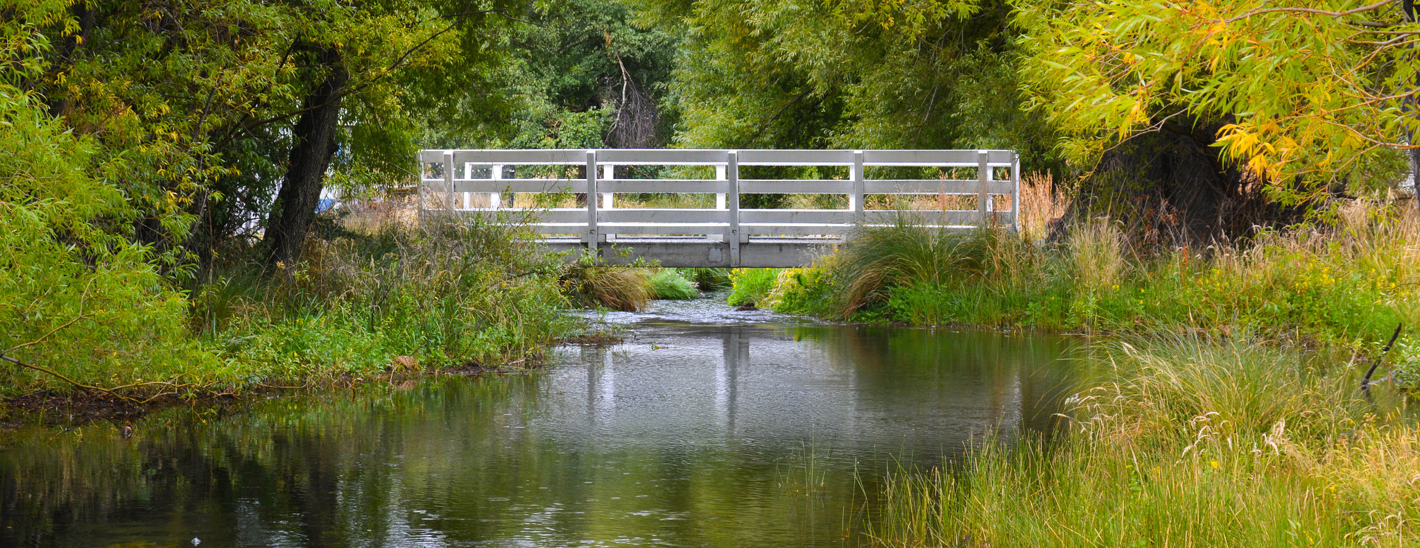 Sigma 28-300mm F3.5-6.3 DG Macro sample photo. Bridge at alex photography