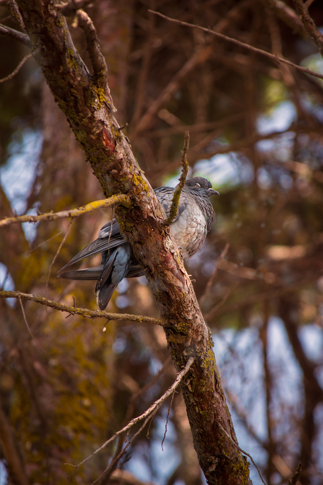 Nikon D5500 sample photo. Tranquility photography