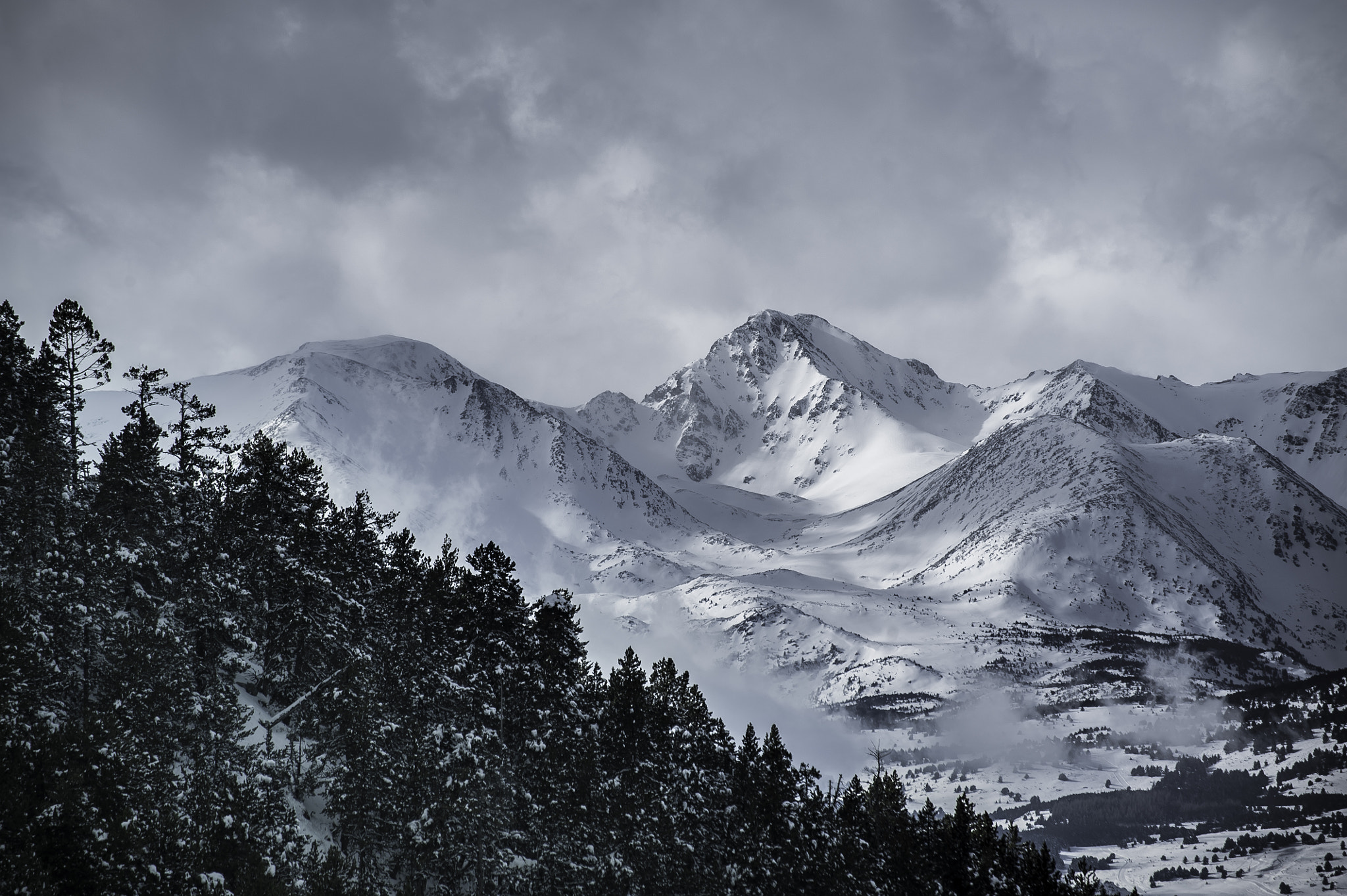 Nikon D700 + Sigma 70-300mm F4-5.6 DG OS sample photo. Le territoire des loups photography