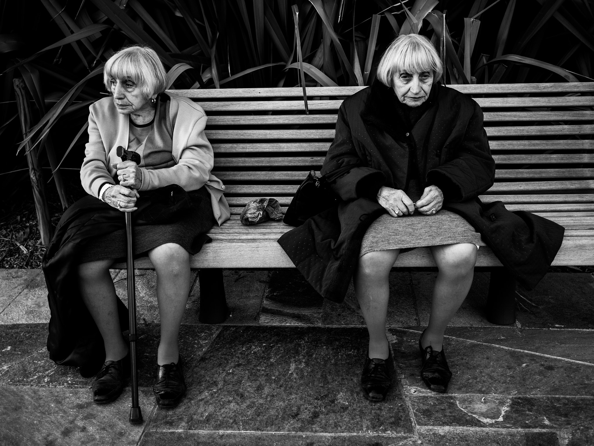 Panasonic Lumix DMC-G85 (Lumix DMC-G80) + LUMIX G 20/F1.7 II sample photo. Twins on a bench photography