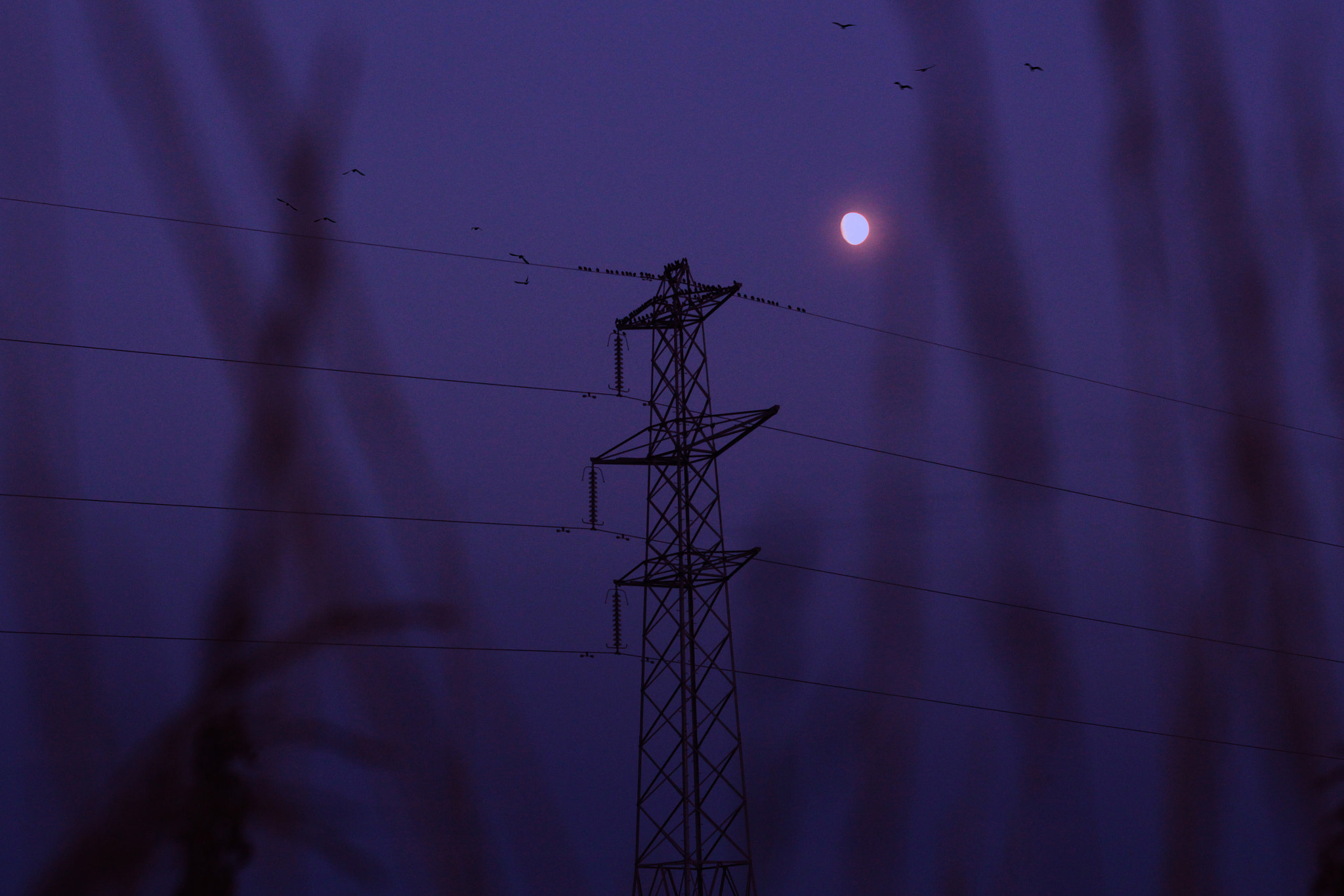 Canon EF 50mm f/1.8 sample photo. Moonlight photography