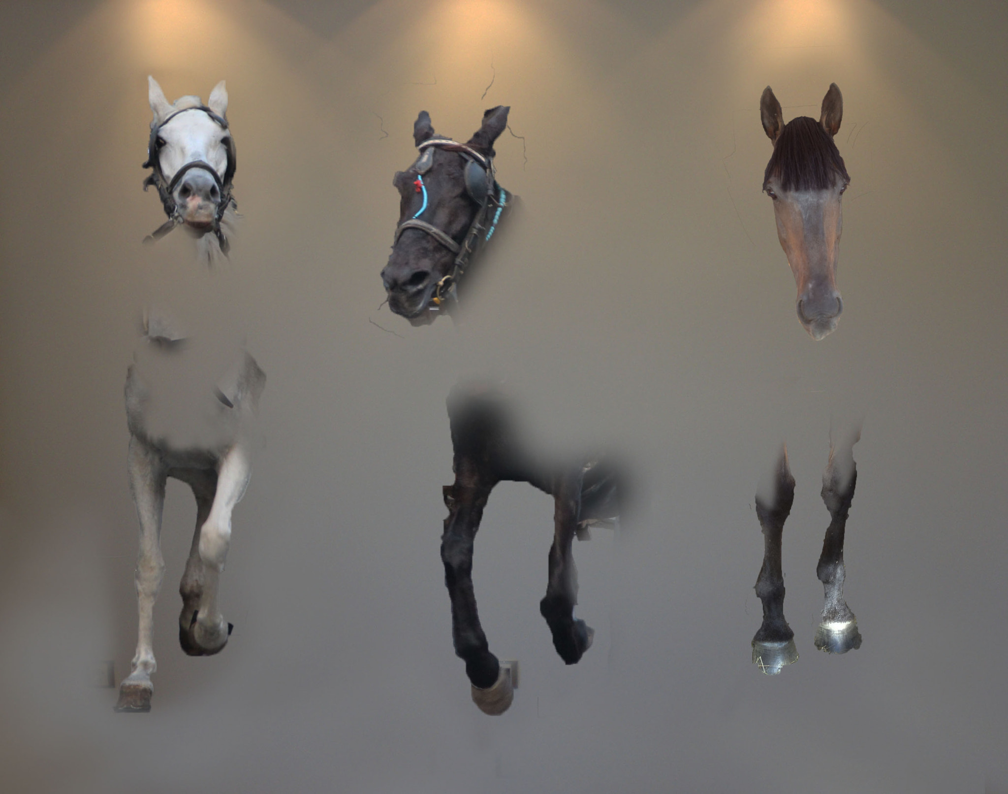 CASIO EX-Z75 sample photo. Horses through the wall photography