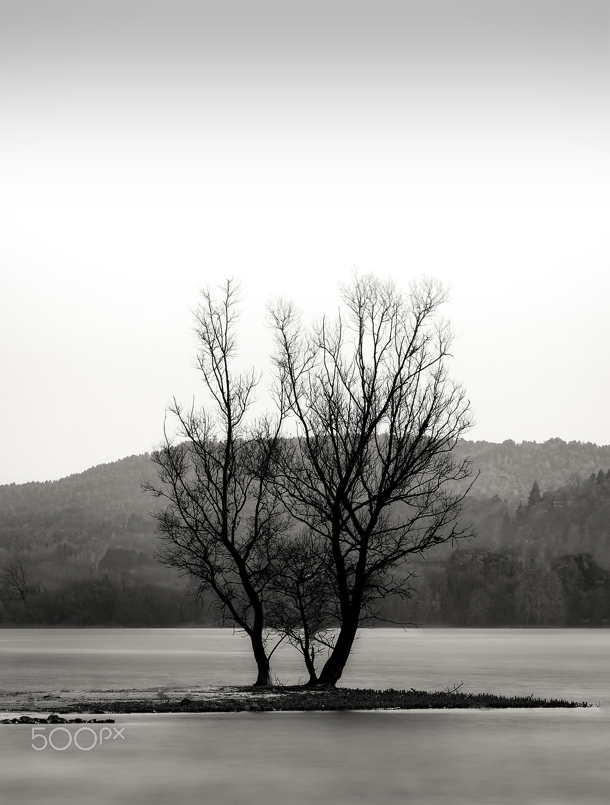 Olympus OM-D E-M10 II sample photo. Loneliest photography