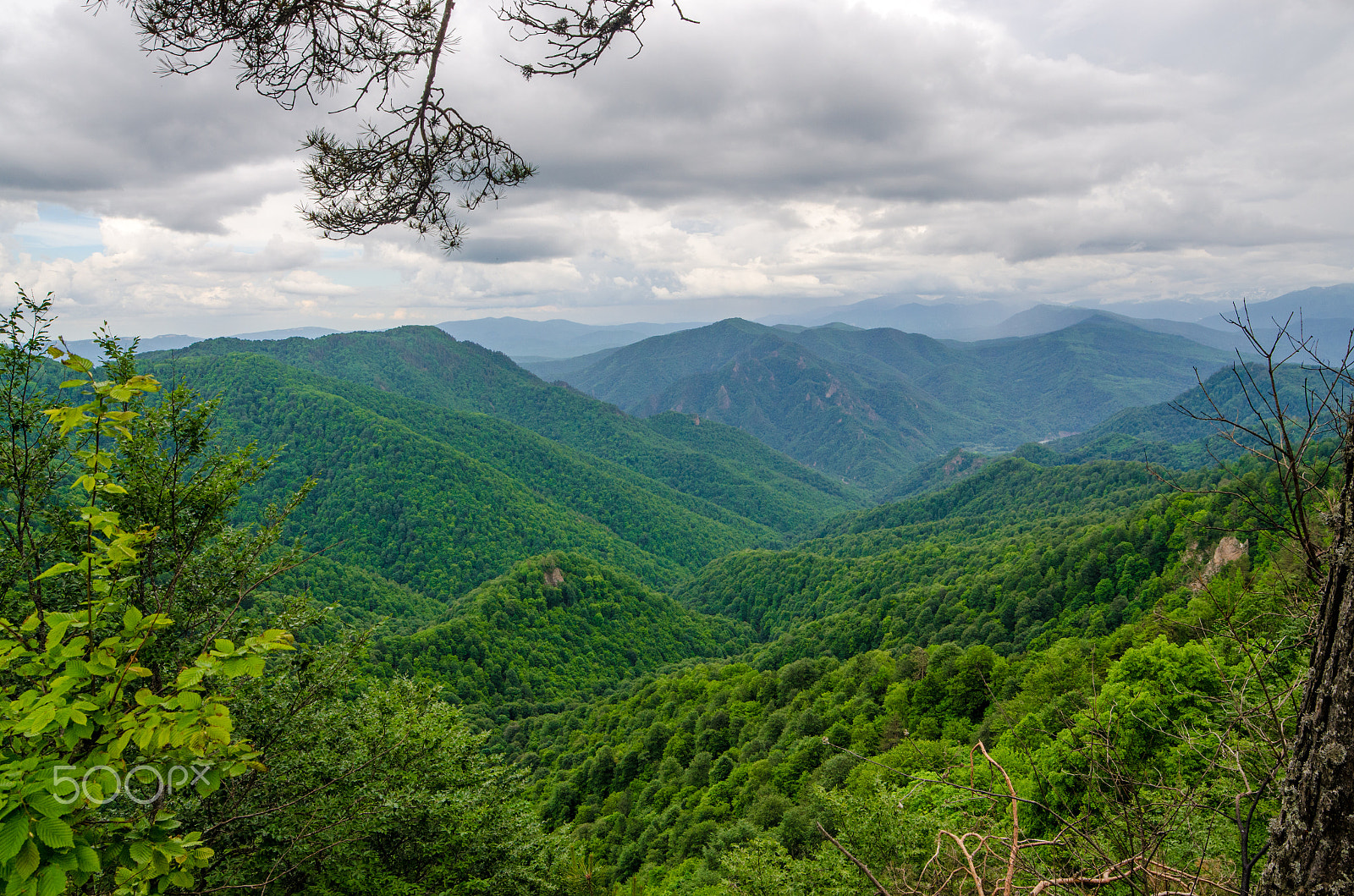 Samyang 14mm F2.8 ED AS IF UMC sample photo. Green caucasian mountains photography